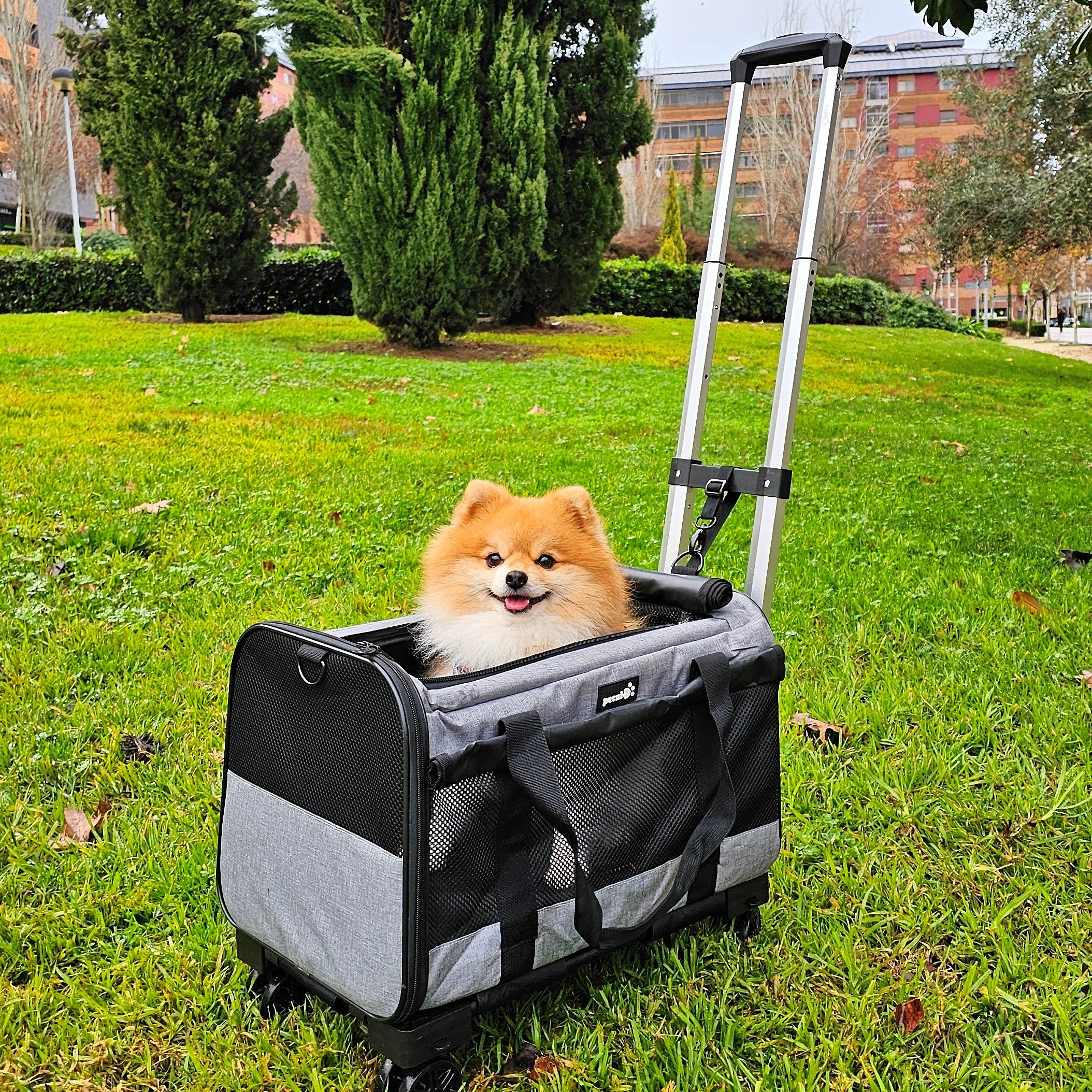 Pecute Pet Carrier with Wheels Trolley Bag