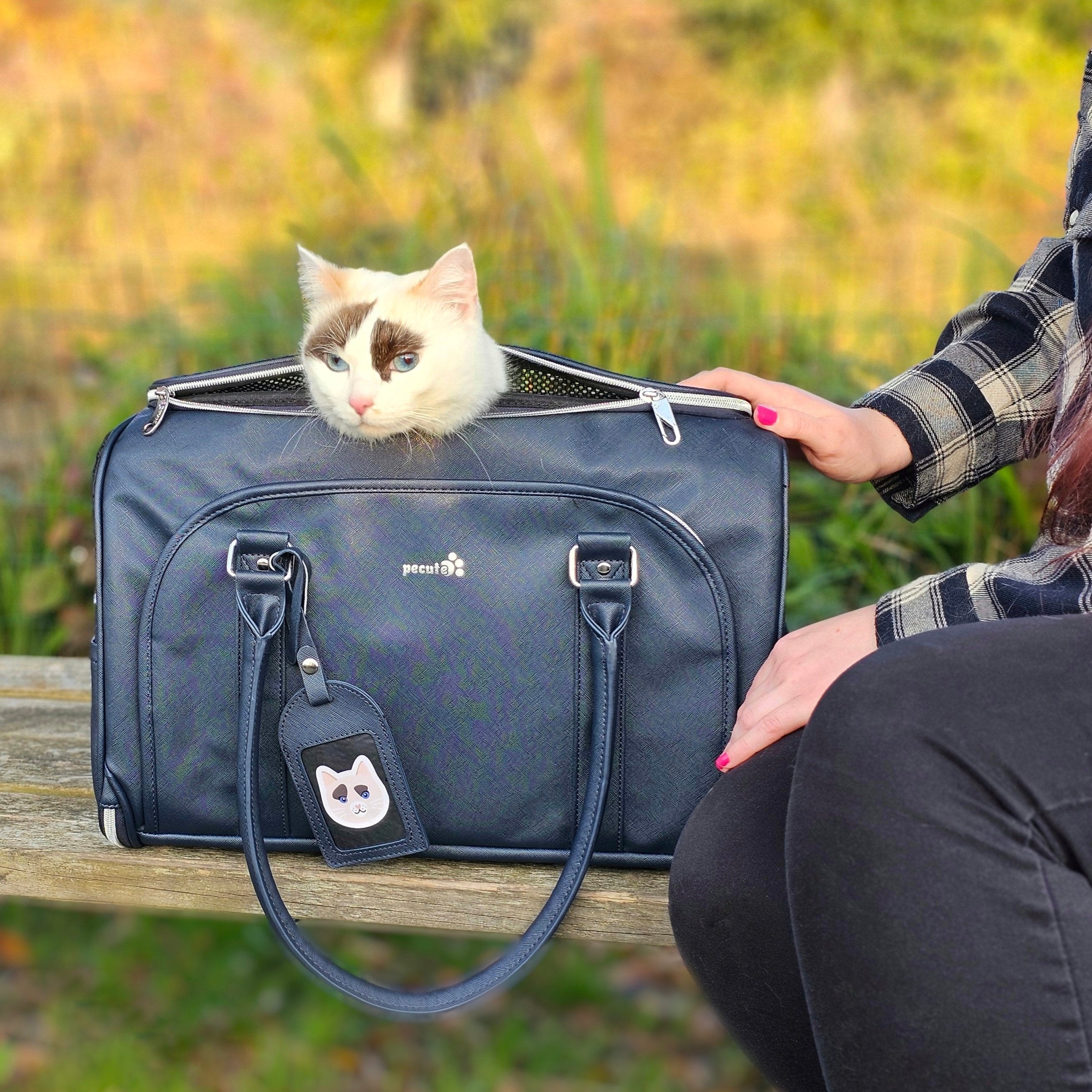 Pecute Fashion PU Material Cat Carrier Upgrade Dog Carrier Handbag