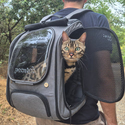 Pecute Bubble Cat Backpack Carrier Large Space Ergonomic 3D Design Breathable & Shaded