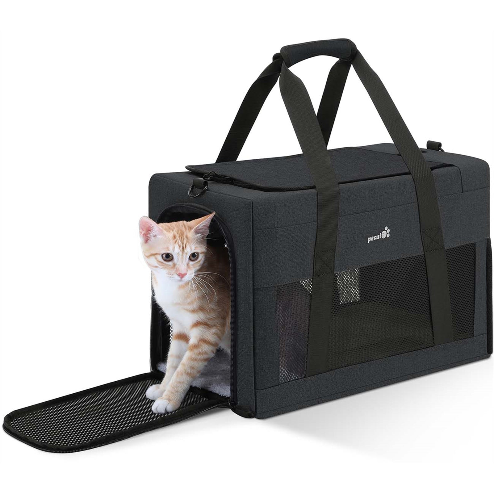 Pecute Cat Sac à main carré avec cadre intégré