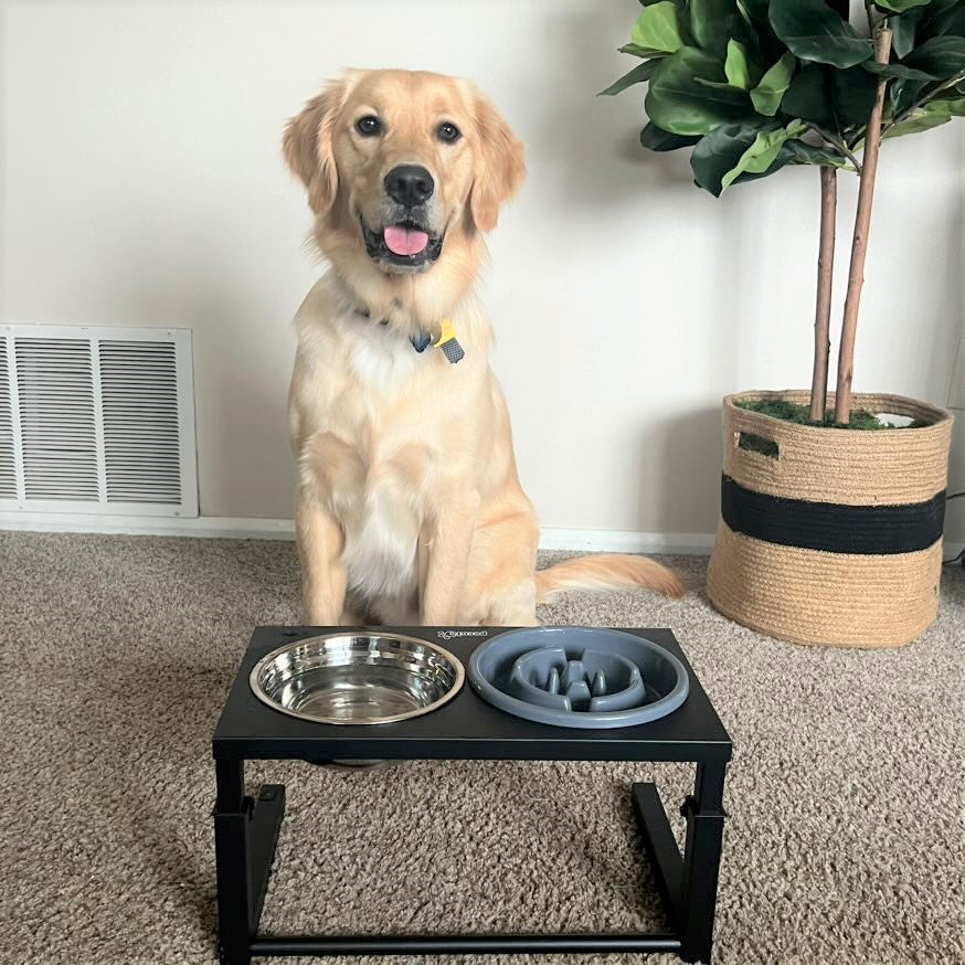 Pecute Raised Dog Slow Feeder Bowl Set