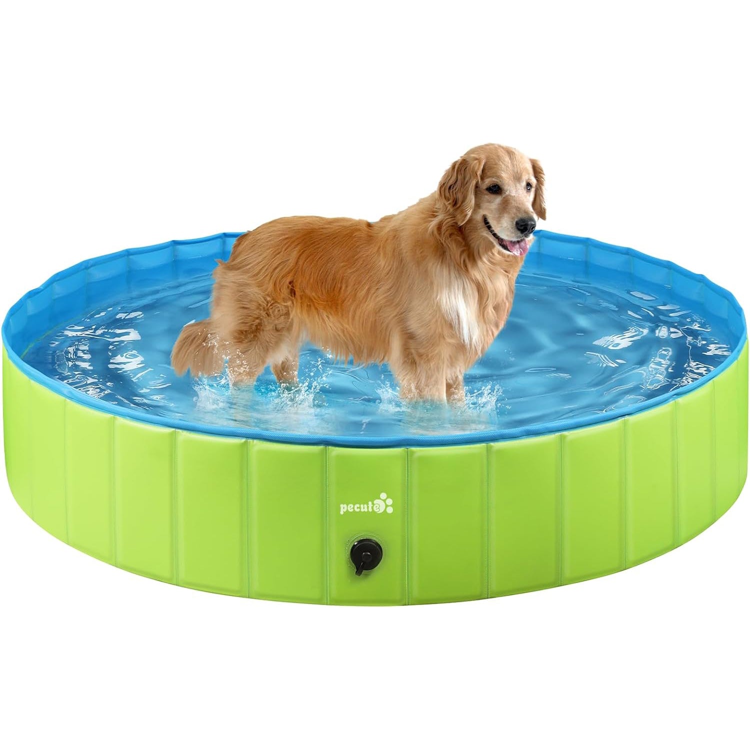 Pecute M-XXL Green Dog Paddling Pool