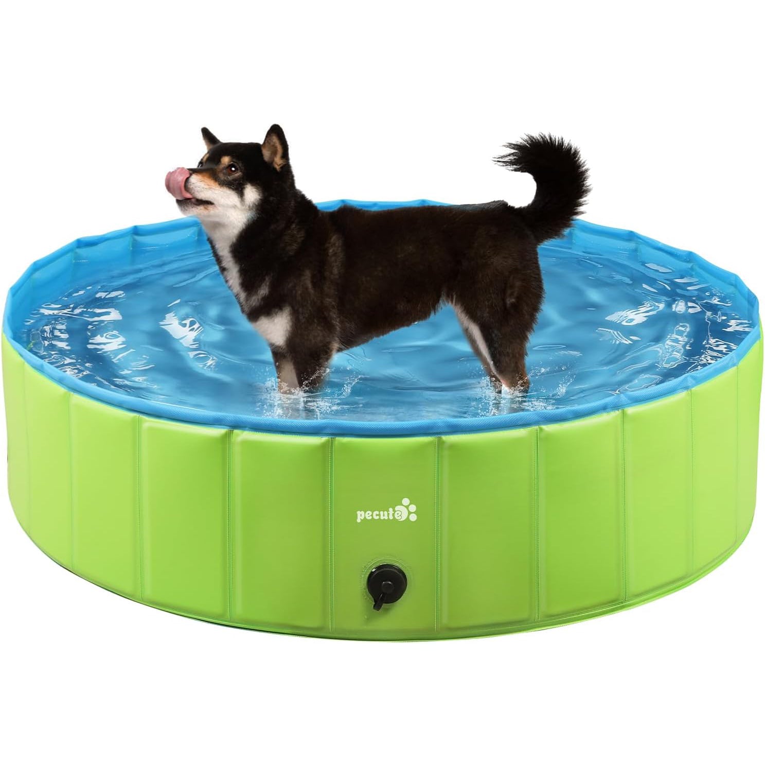 Pecute M-XXL Green Dog Paddling Pool