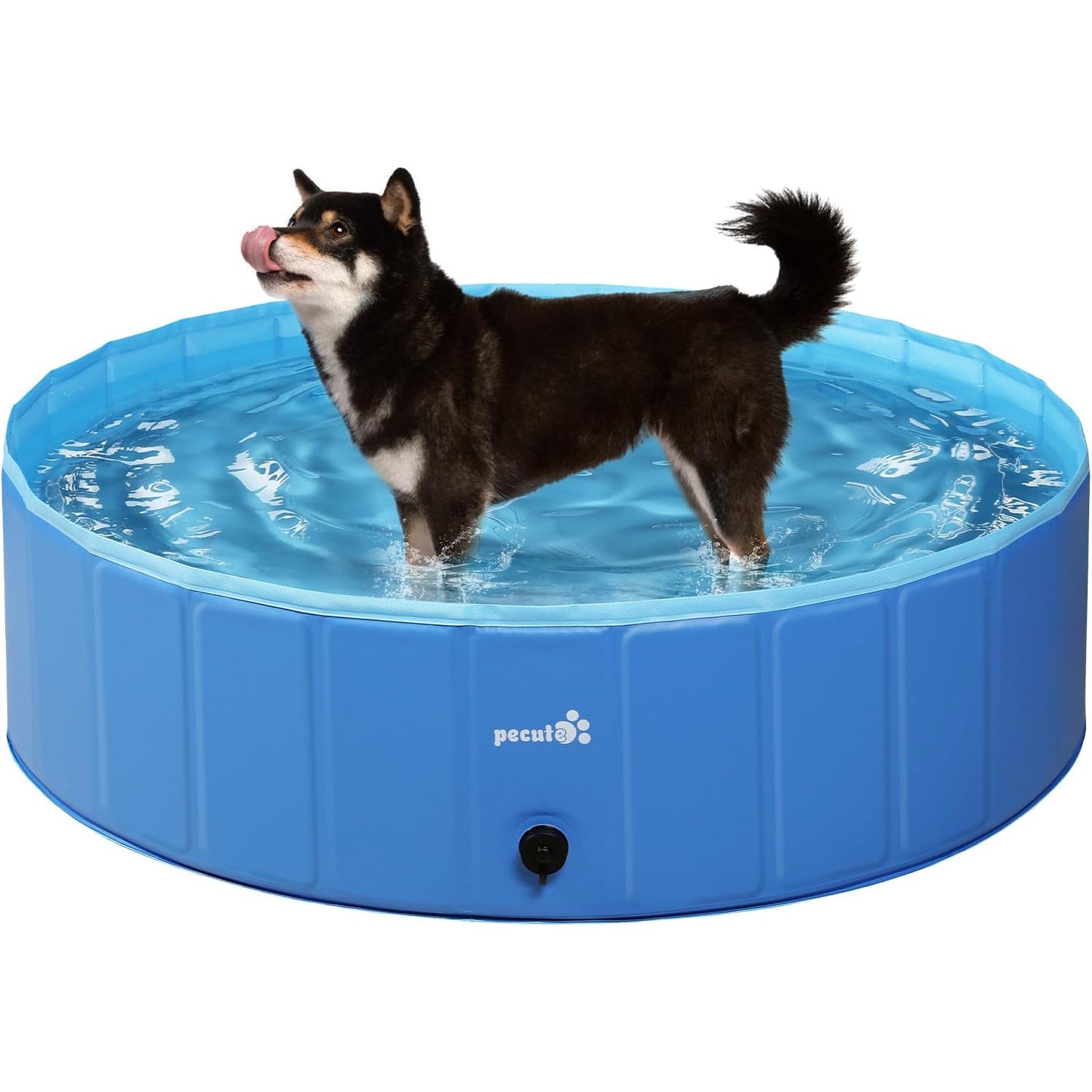 Pecute M-XXL Paddling Pool for Pets& Kids