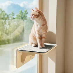 Pecute Wood Wall-Mounted Cat Climbing Shelf