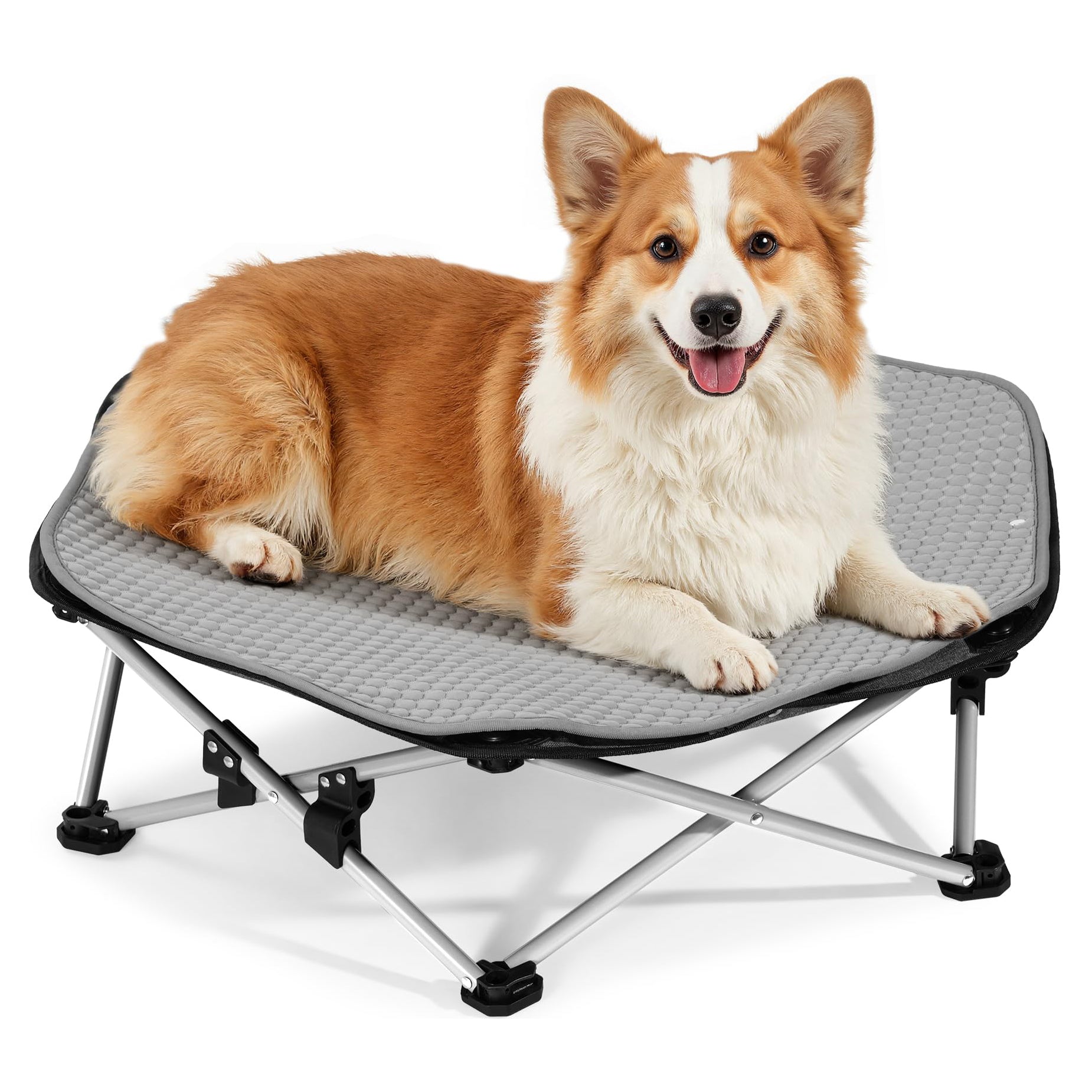 Pecute Elevated Dog Bed with Cooling Blanket