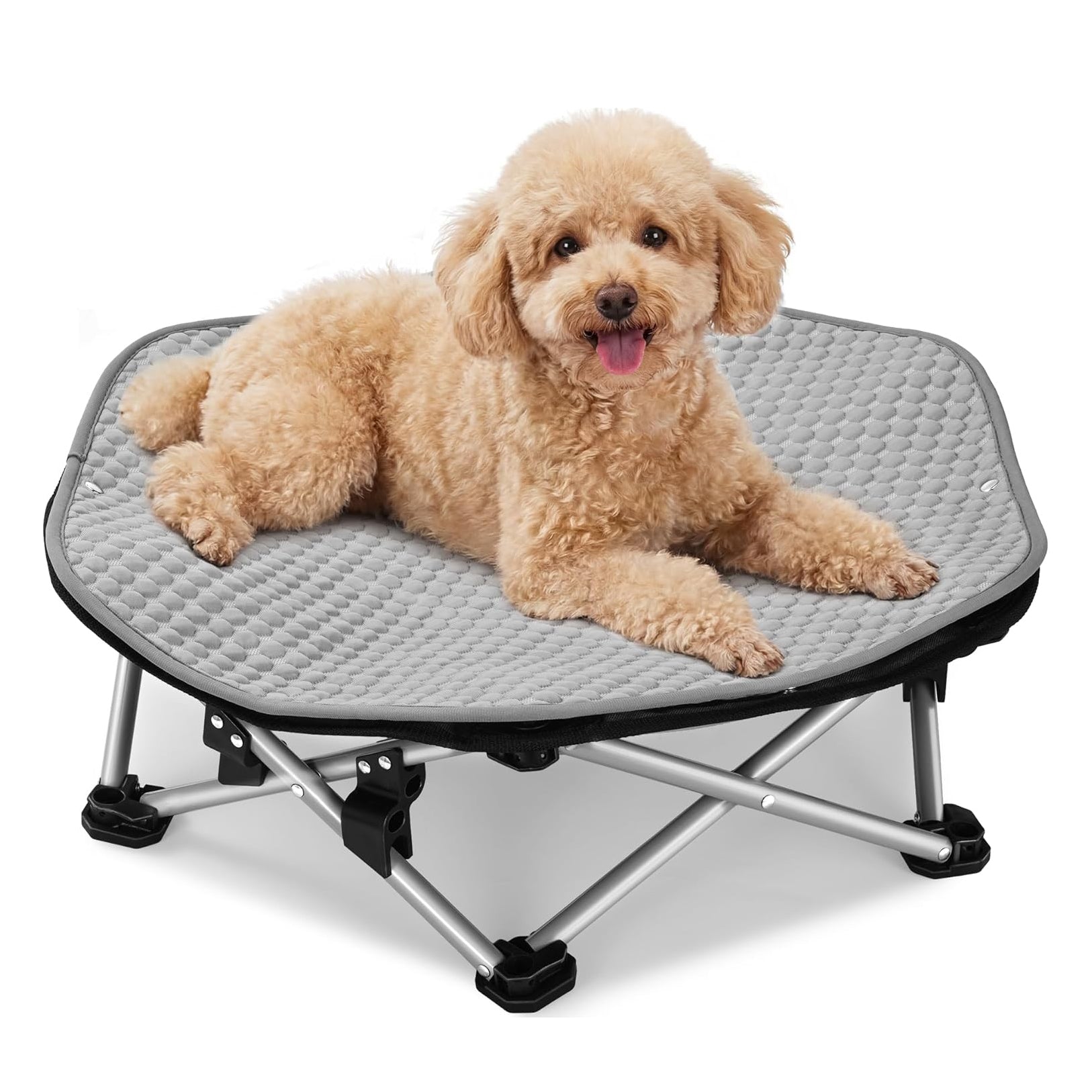 Pecute Elevated Dog Bed with Cooling Blanket