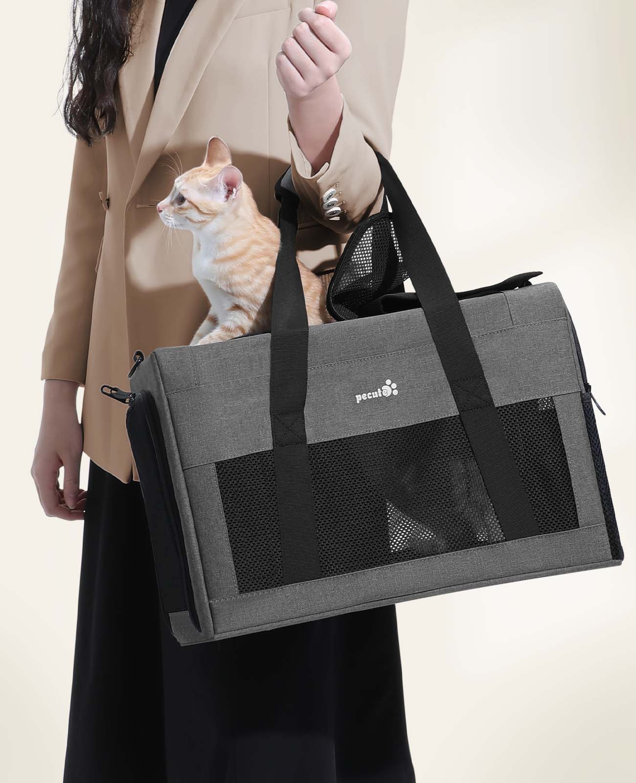 Pecute Cat Handtasche, quadratisch, mit integriertem Rahmen