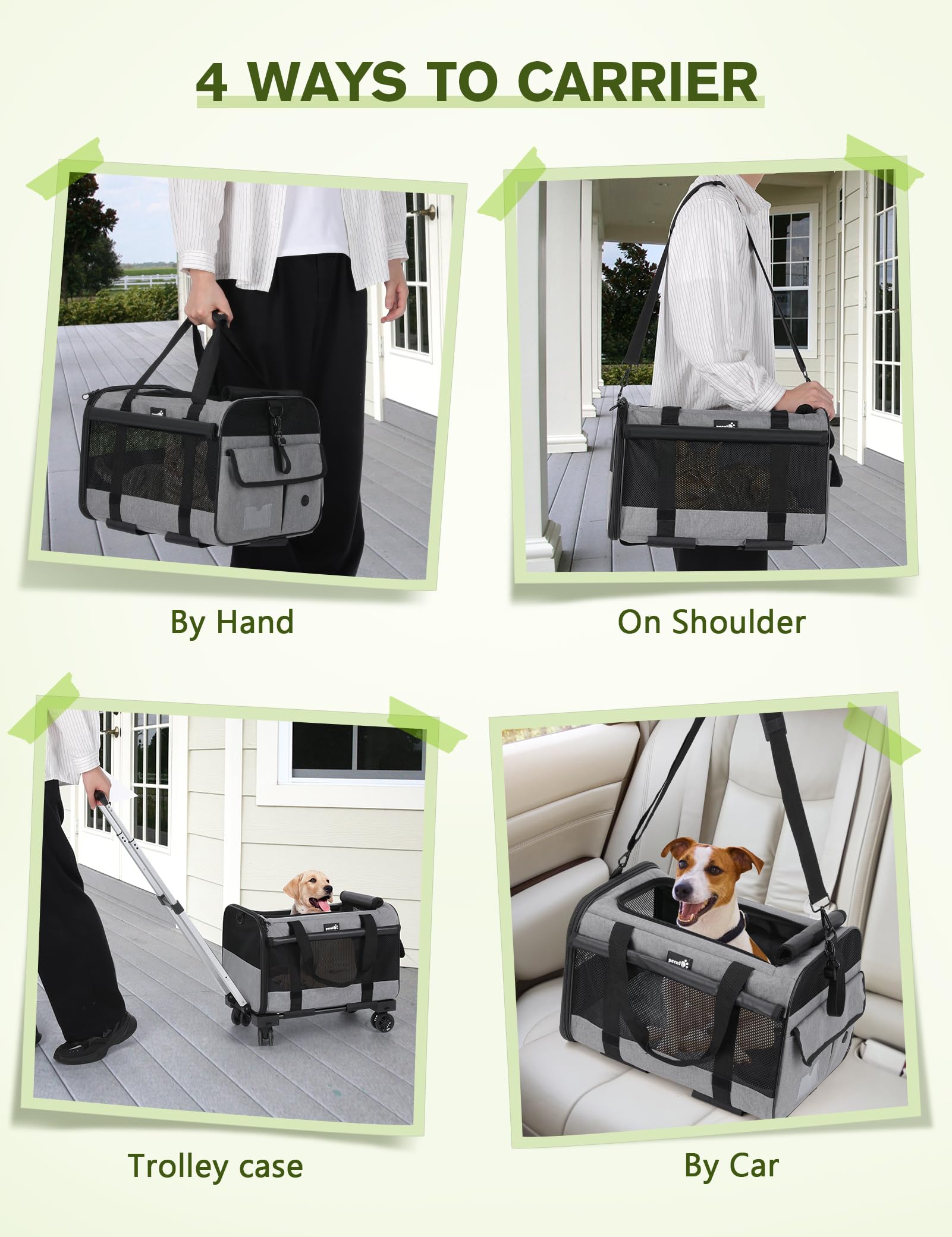 Pecute Pet Carrier with Wheels Trolley Bag