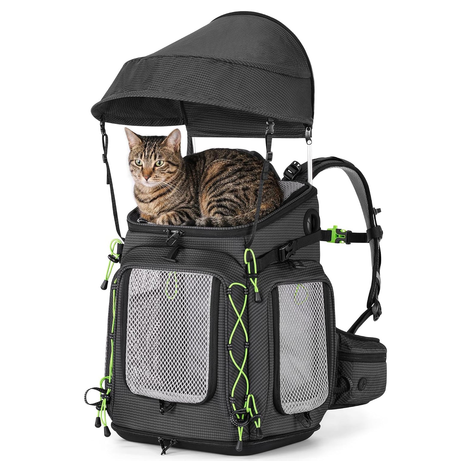 Pecute Travel Cat Backpack Carrier,Hiking Pet Backpack,Black,Up to 11 lbs
