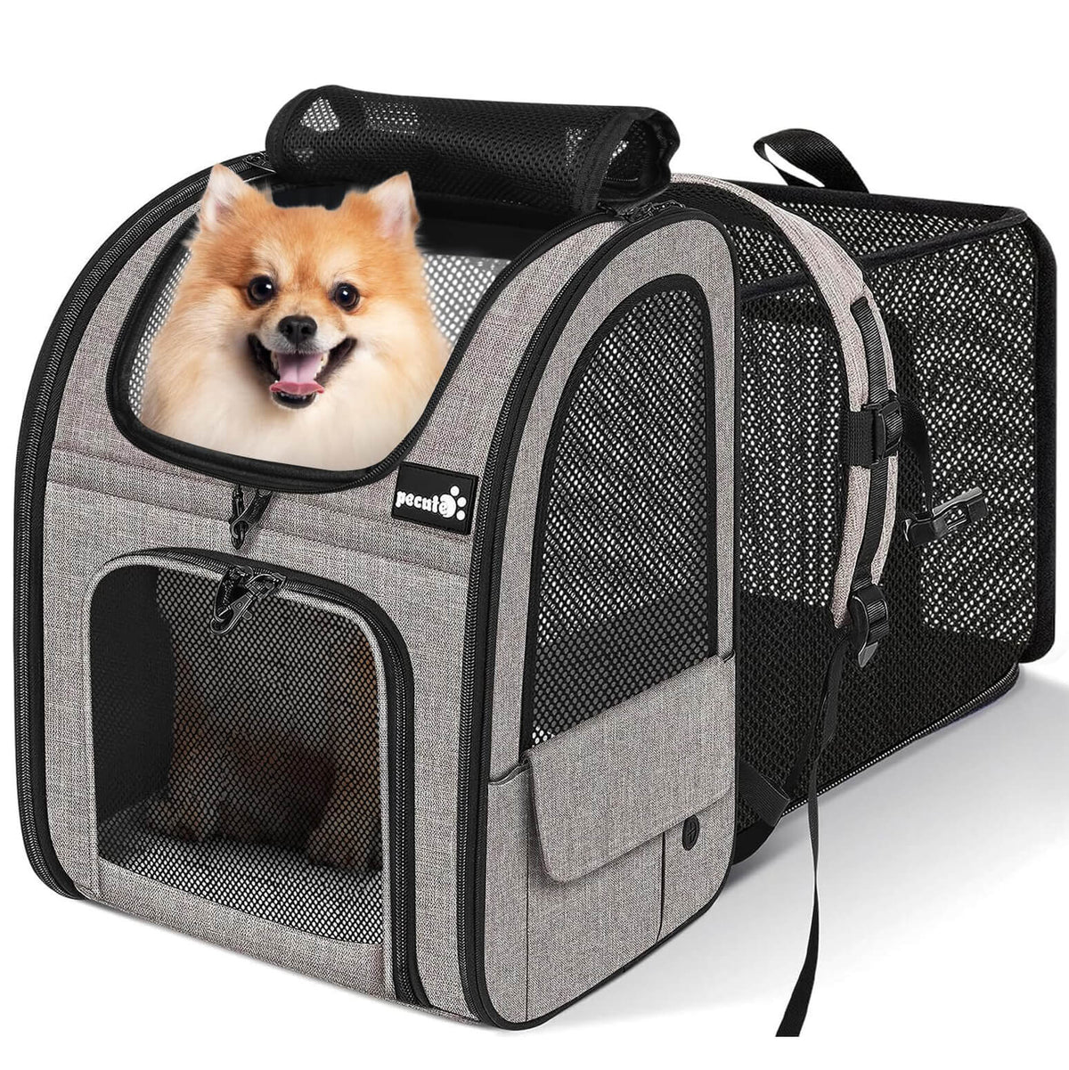 Pecute XL Size Pet Carrier Backpack Dog Carrier Expandable (Khaki)