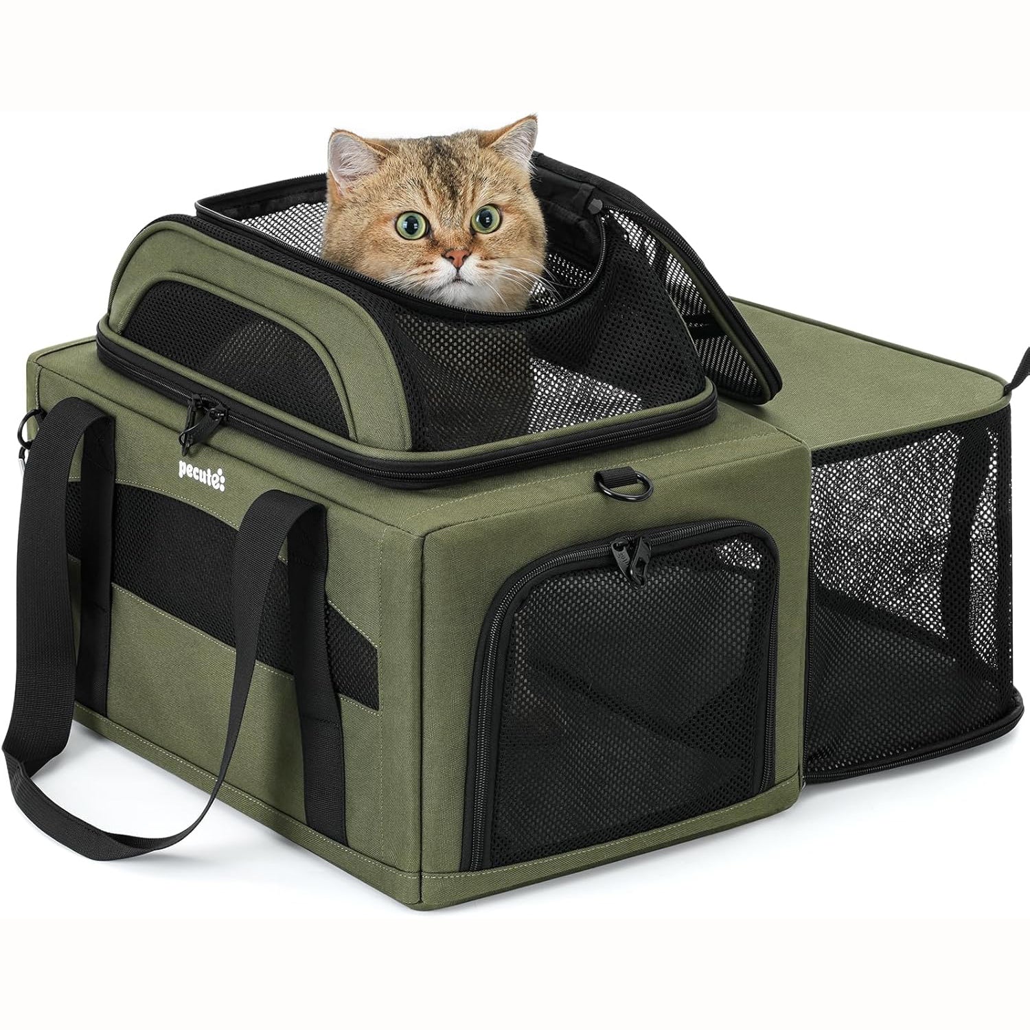 Pecute Airline Approved Top Side Expandable Pet Carrier Dog Cat Carrier