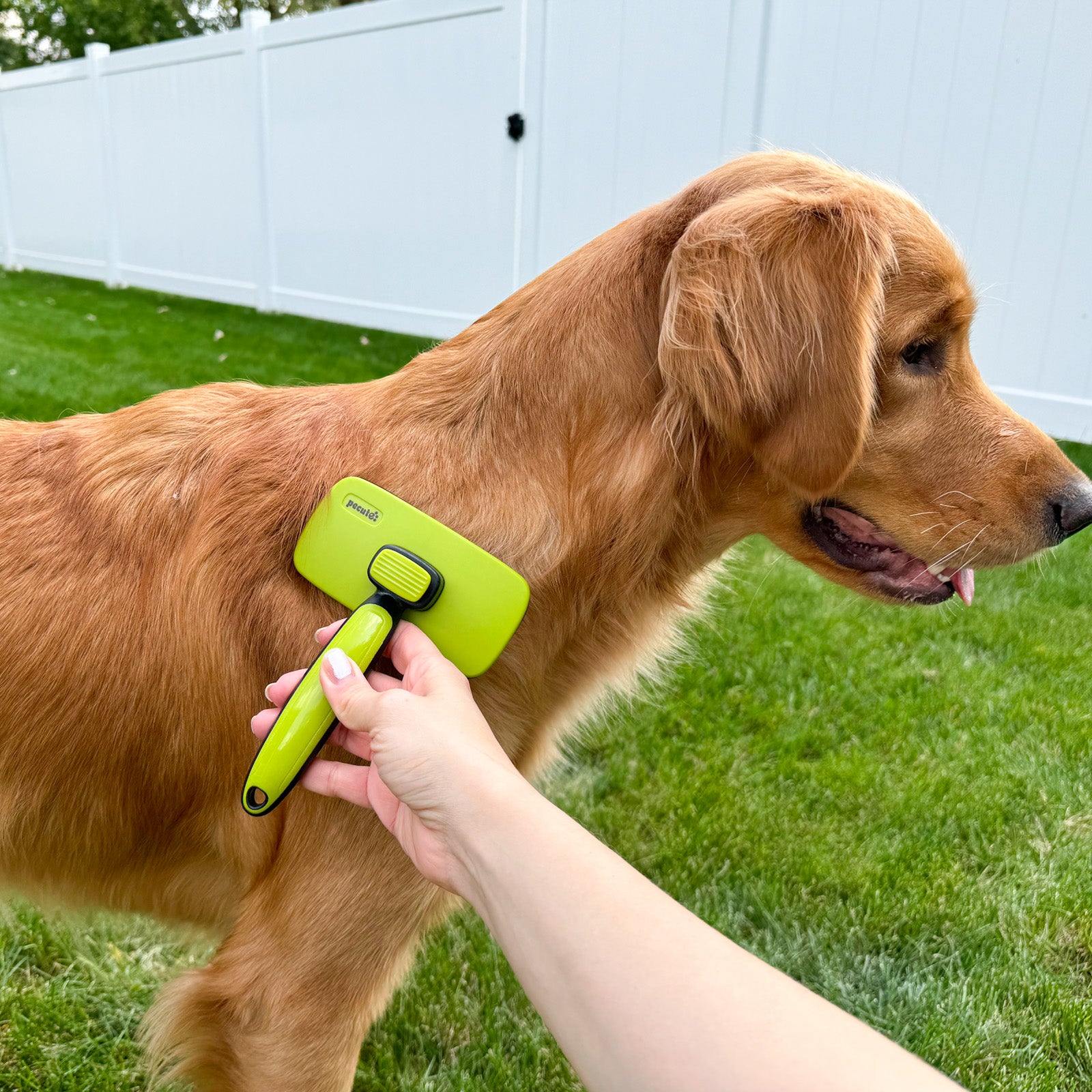 Pecute Taille L Brosse de toilettage autonettoyante pour animaux de compagnie Particules de massage