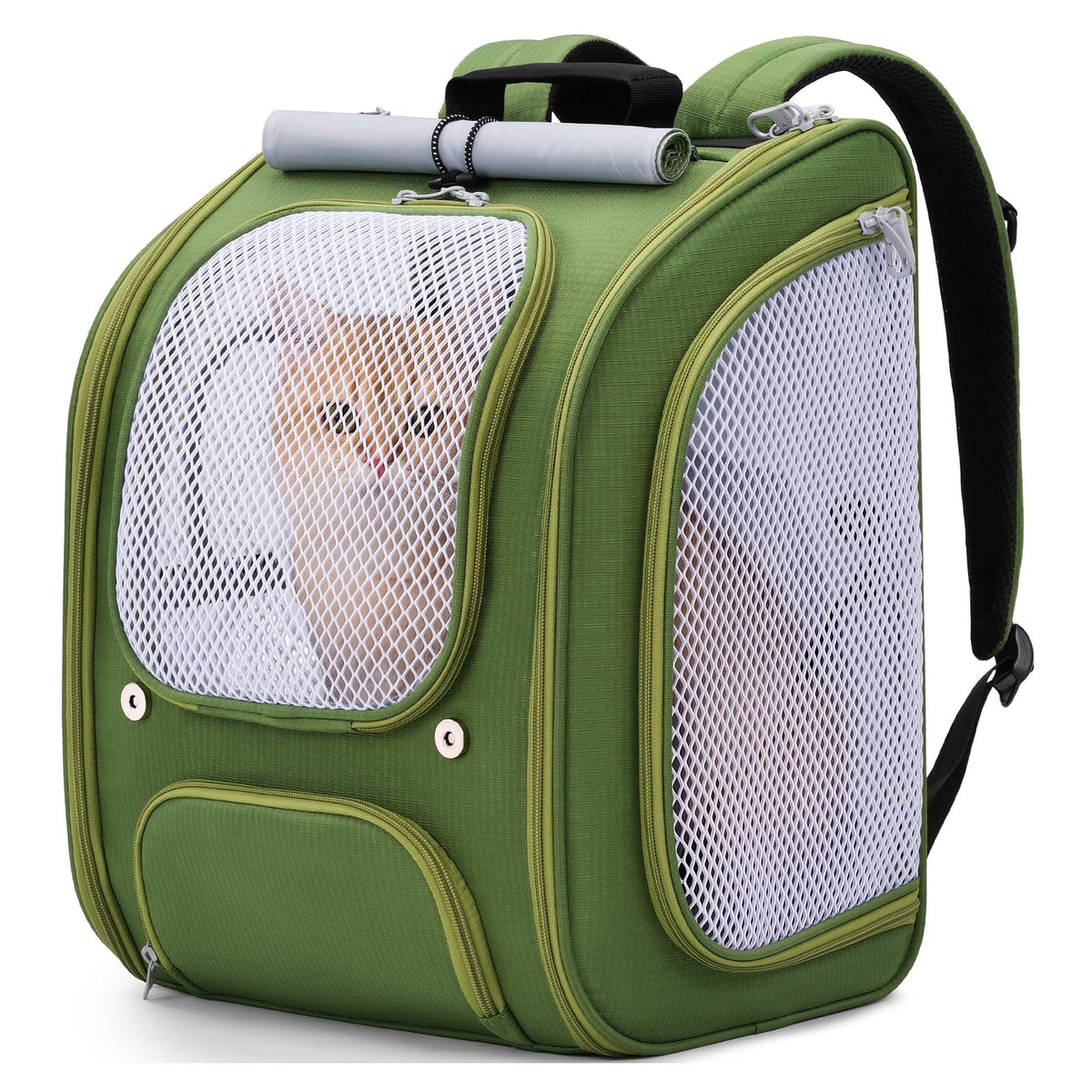 Pecute Cat Backpack Carrier, Spacious & Breathable Pet Backpack, Green