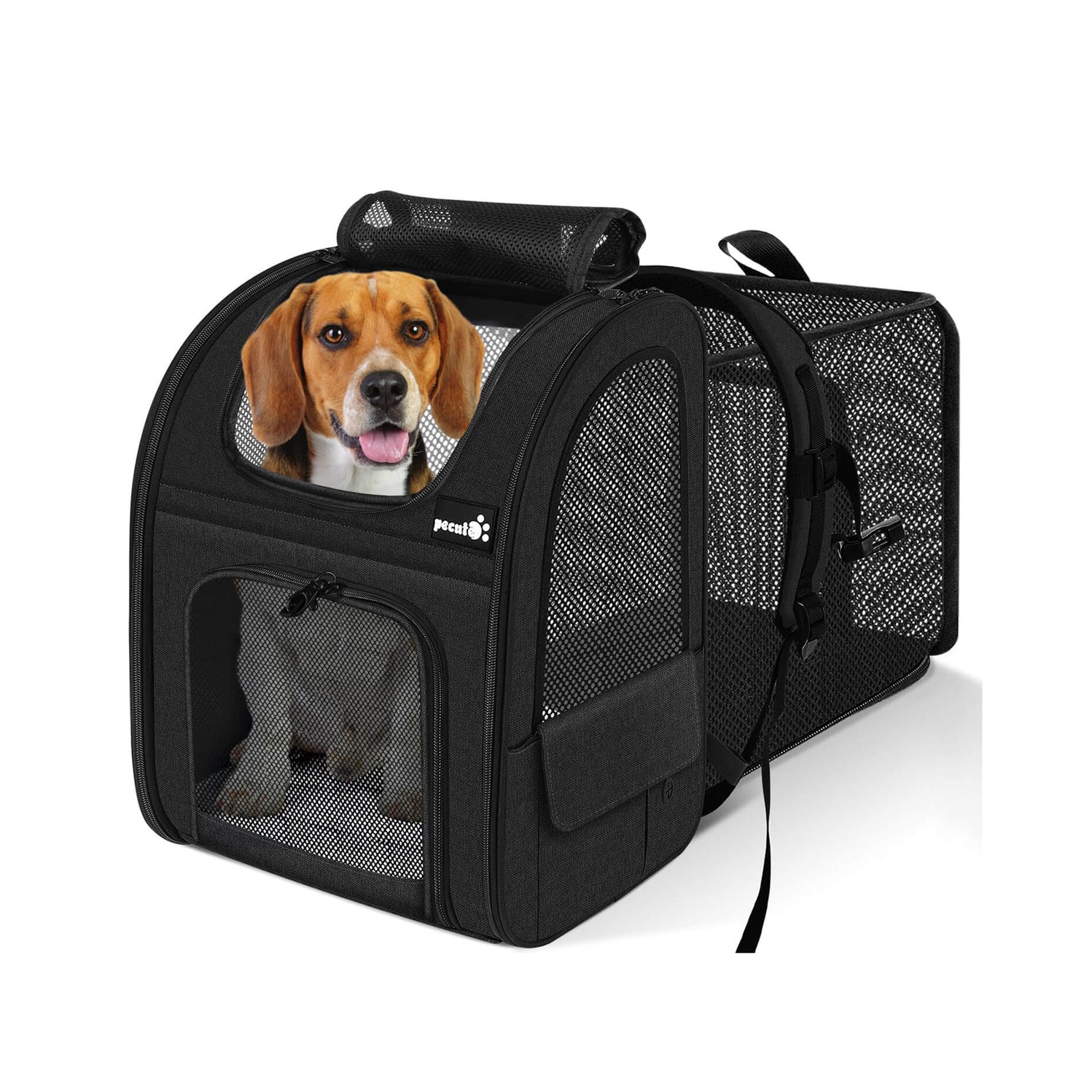 Pecute Cat Carrier Dog Backpack Expandable（Black）