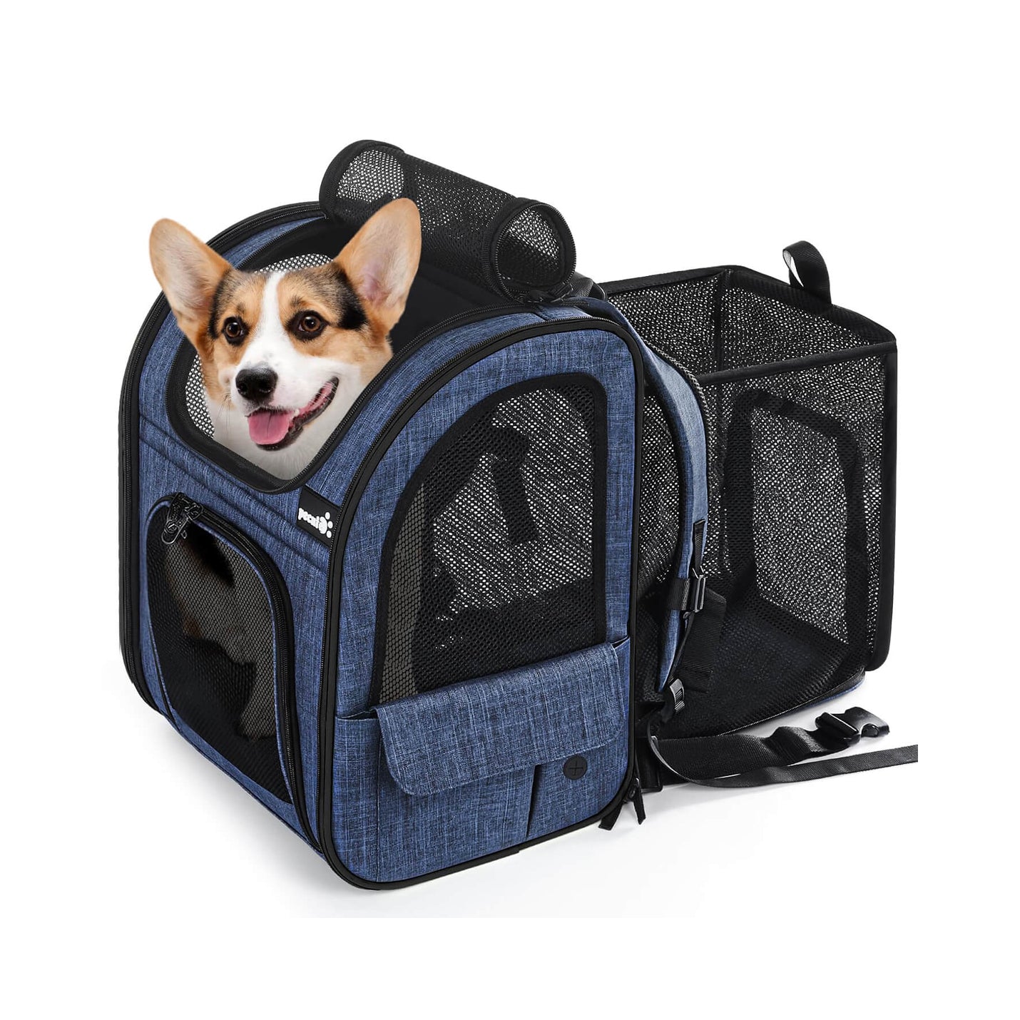 Pecute chat transporteur chien sac à dos extensible (bleu)