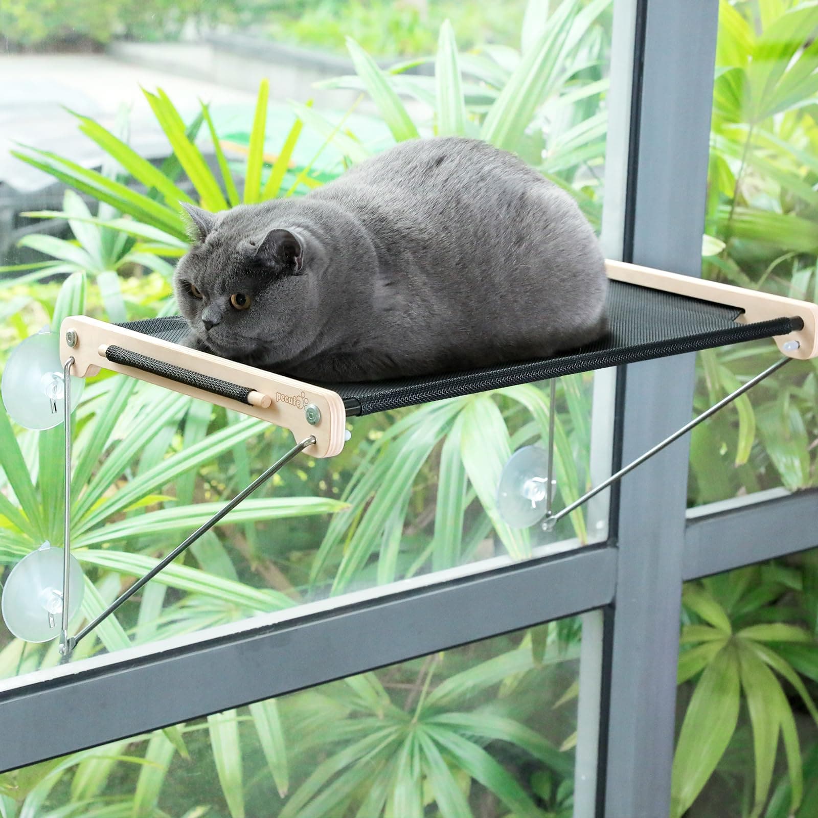 Breathable Mesh Cat Window Perch for Window