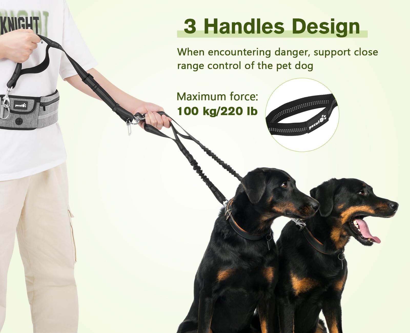 Pecute Hands Free Dog Leash 2 Dogs