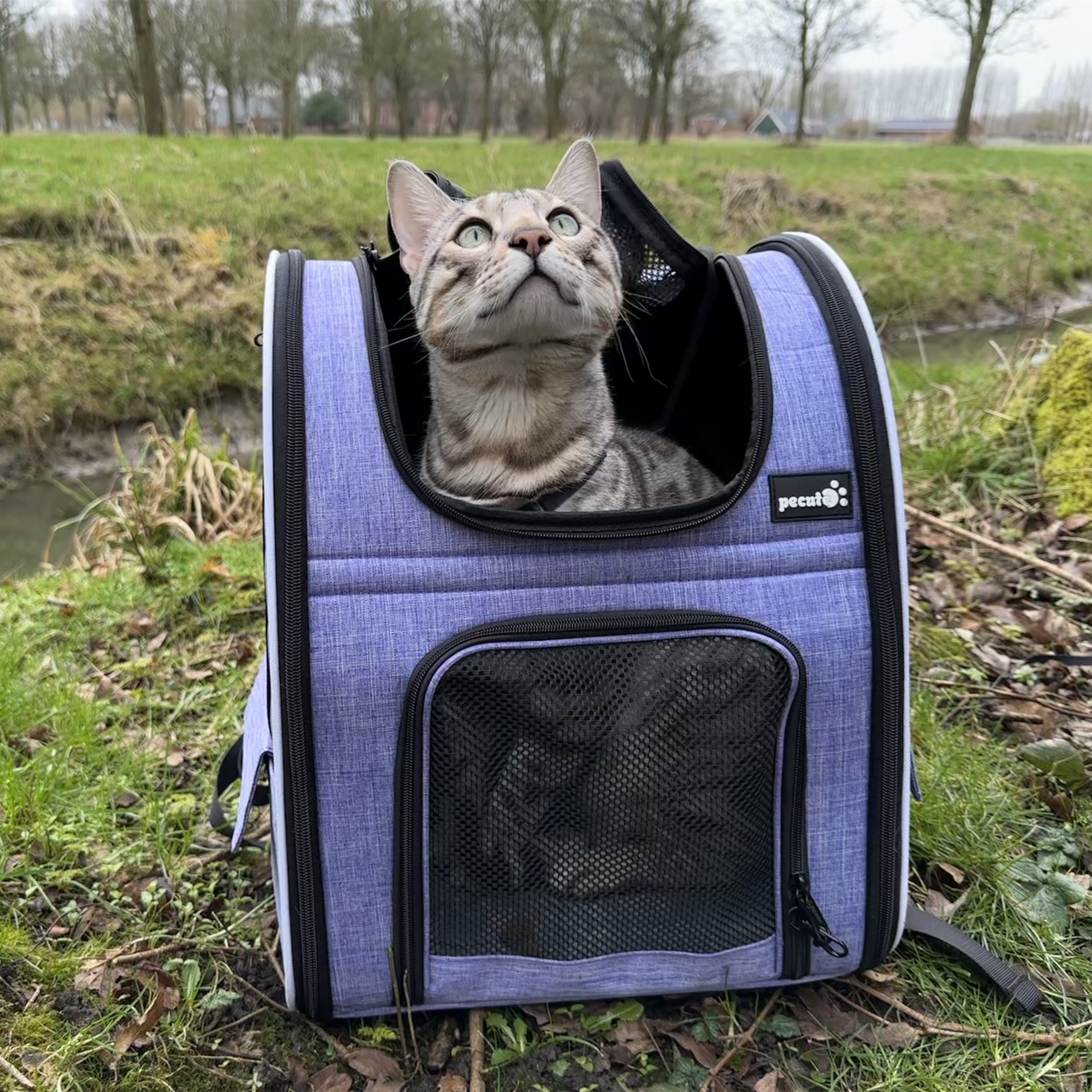 Pecute Cat Carrier Dog Sac à dos extensible (Violet)