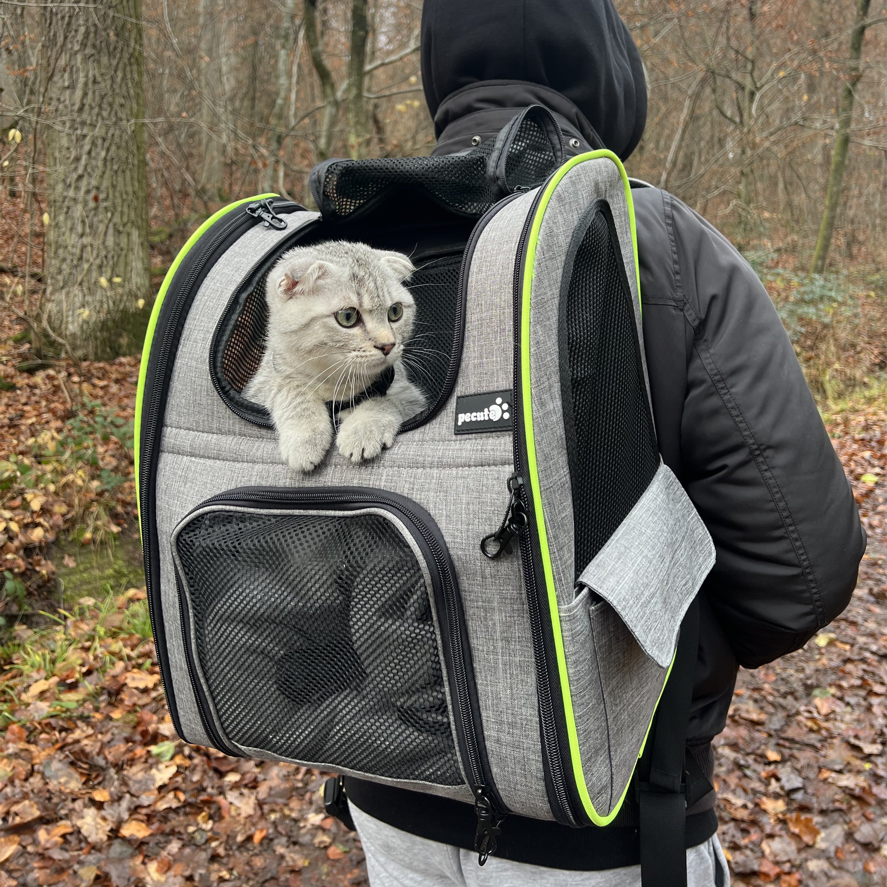 Pecute Cat Carrier Sac à dos pour chien extensible (gris)