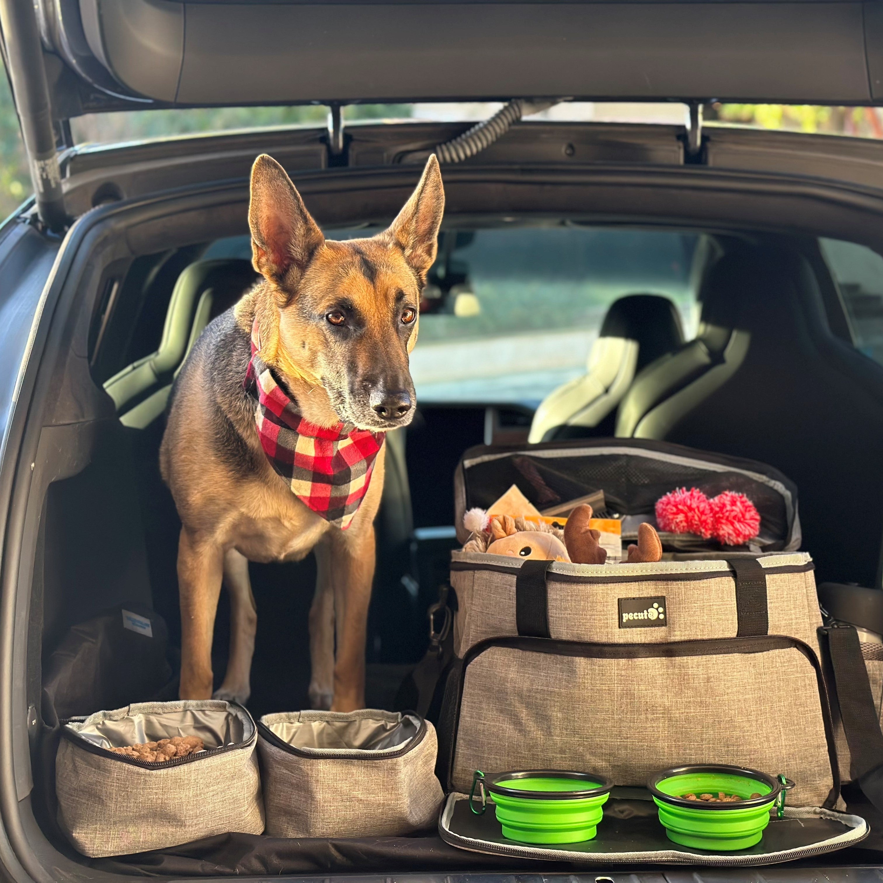 Dog Travel Bag for Supplies Airline Approved