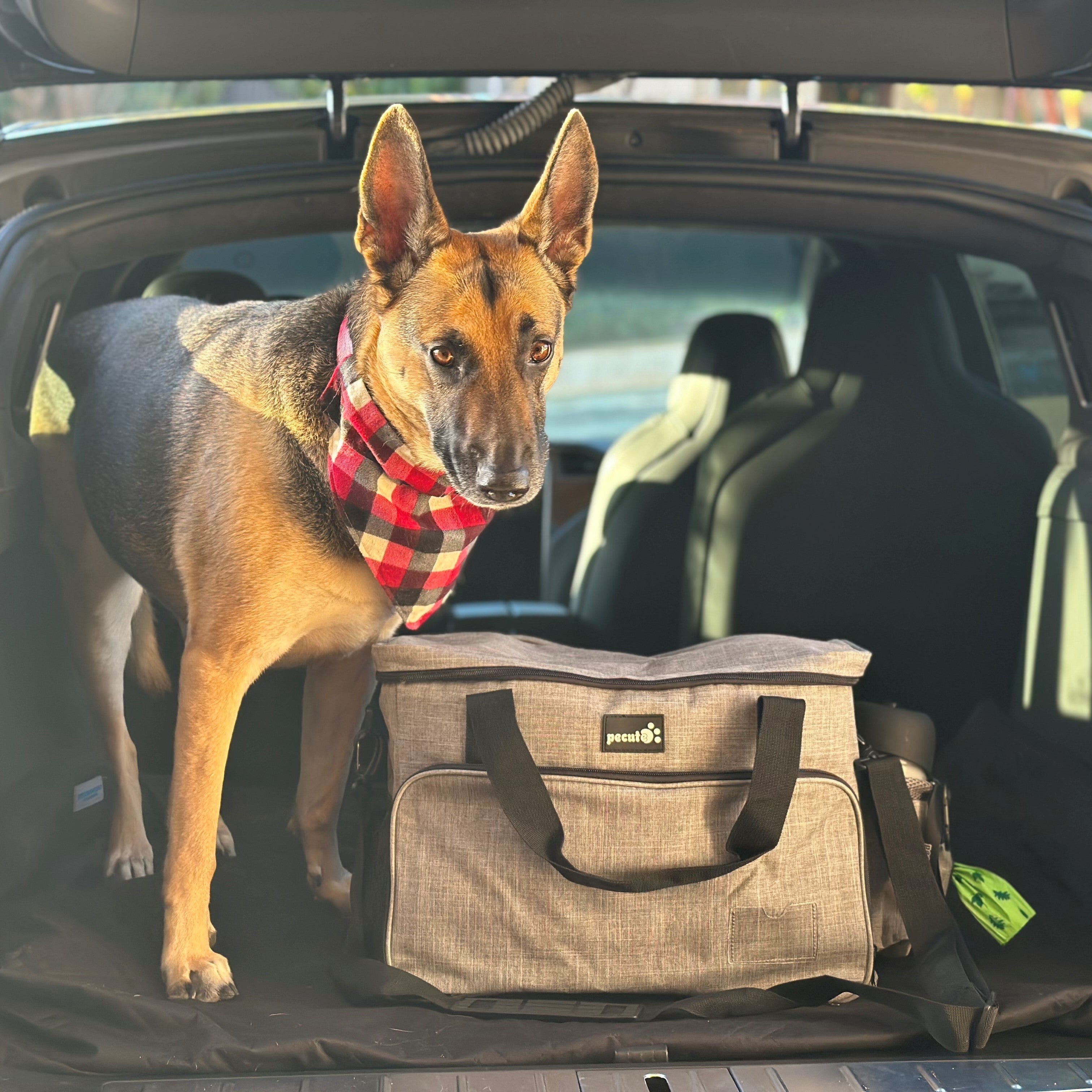 Dog Travel Bag for Supplies Airline Approved