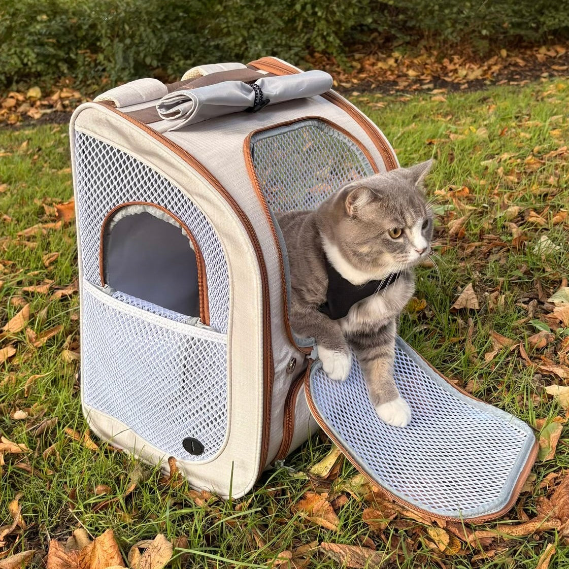 Pecute Cat Backpack Carrier, Spacious & Breathable Pet Backpack, Green
