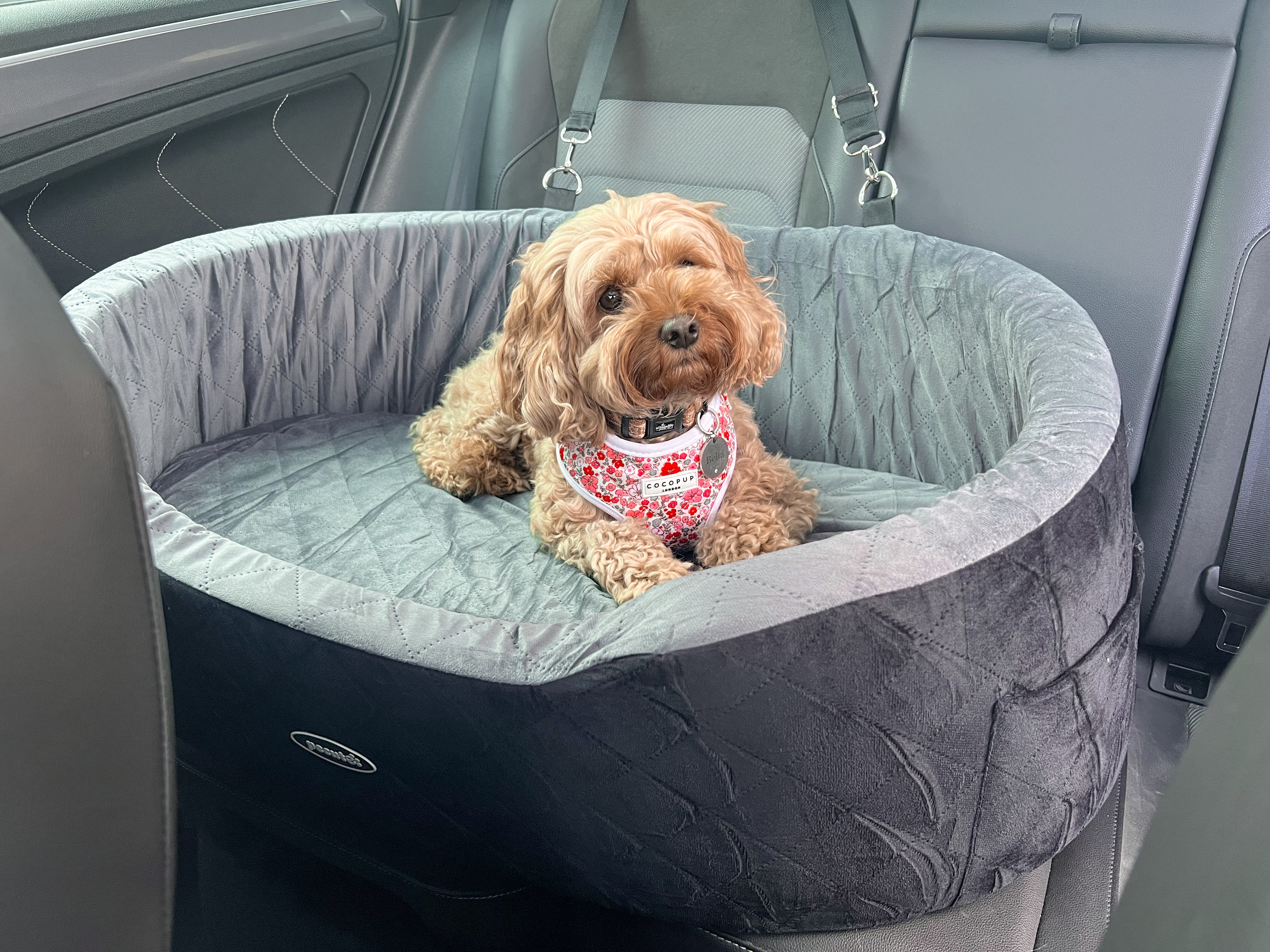 Pecute Egg Crate Memory Foam Dog Car Seat for Large/Medium Dog