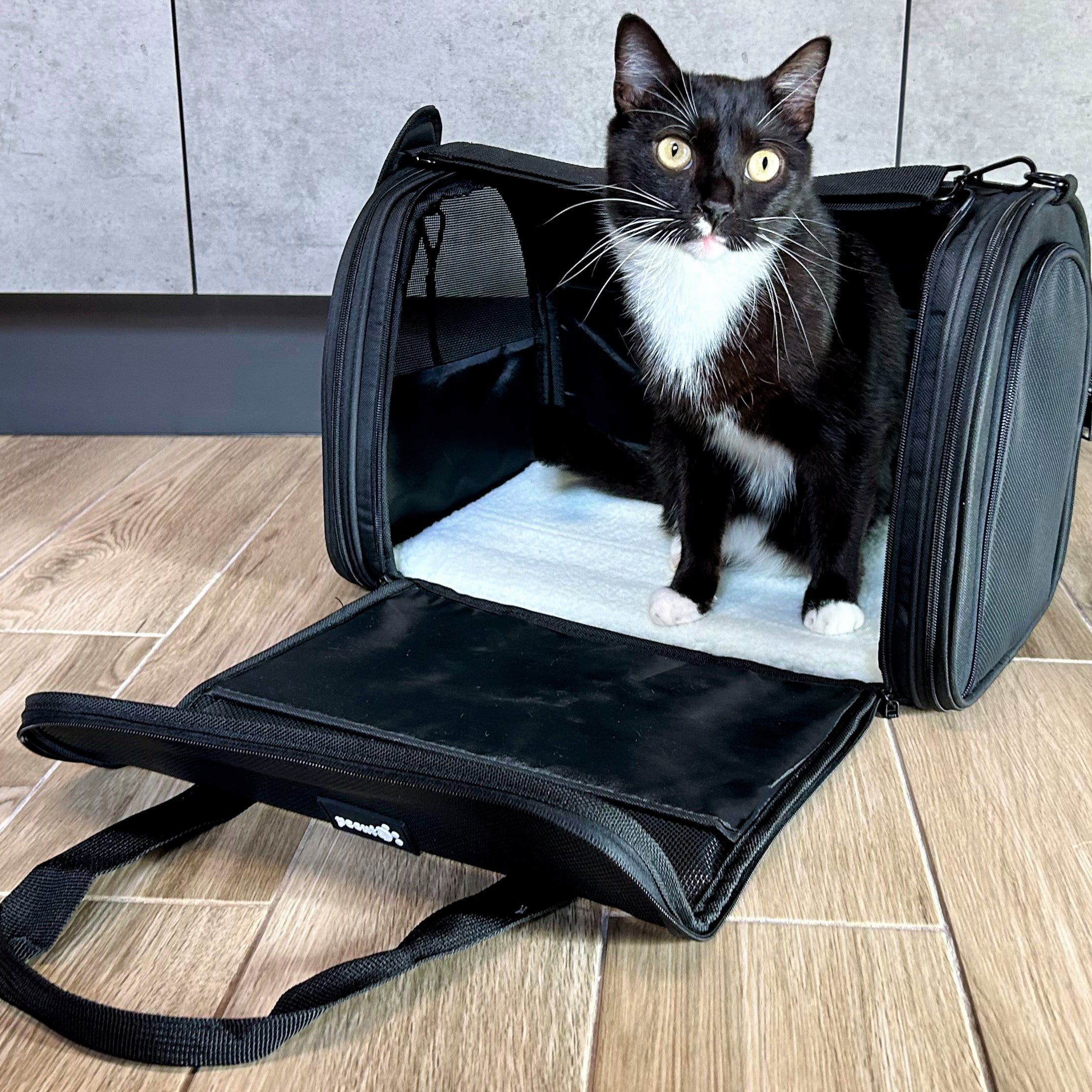 Pecute Nouveau sac de transport pour chat pour animal domestique