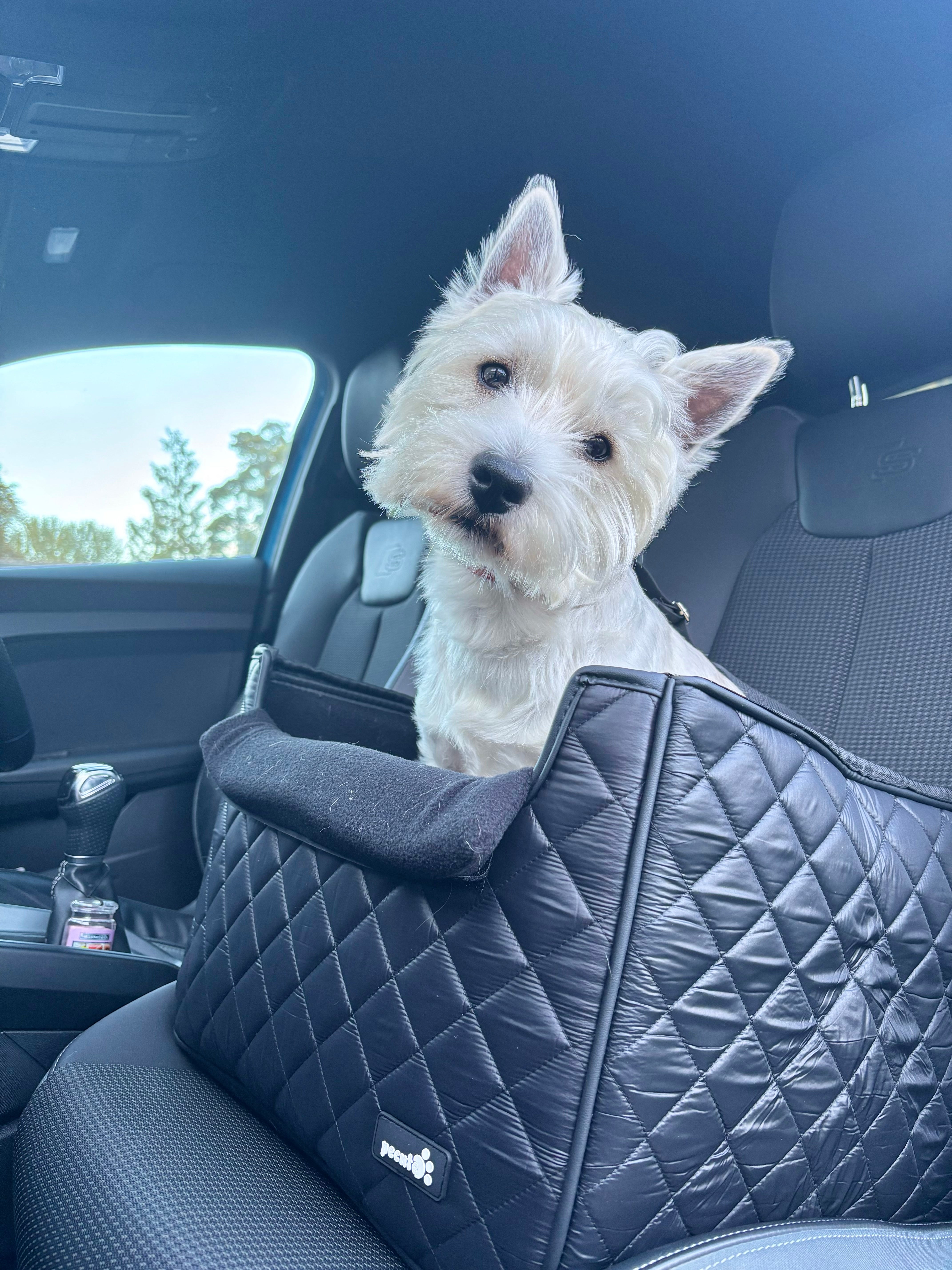 Silla de coche para perros Pecute Downy extra estable