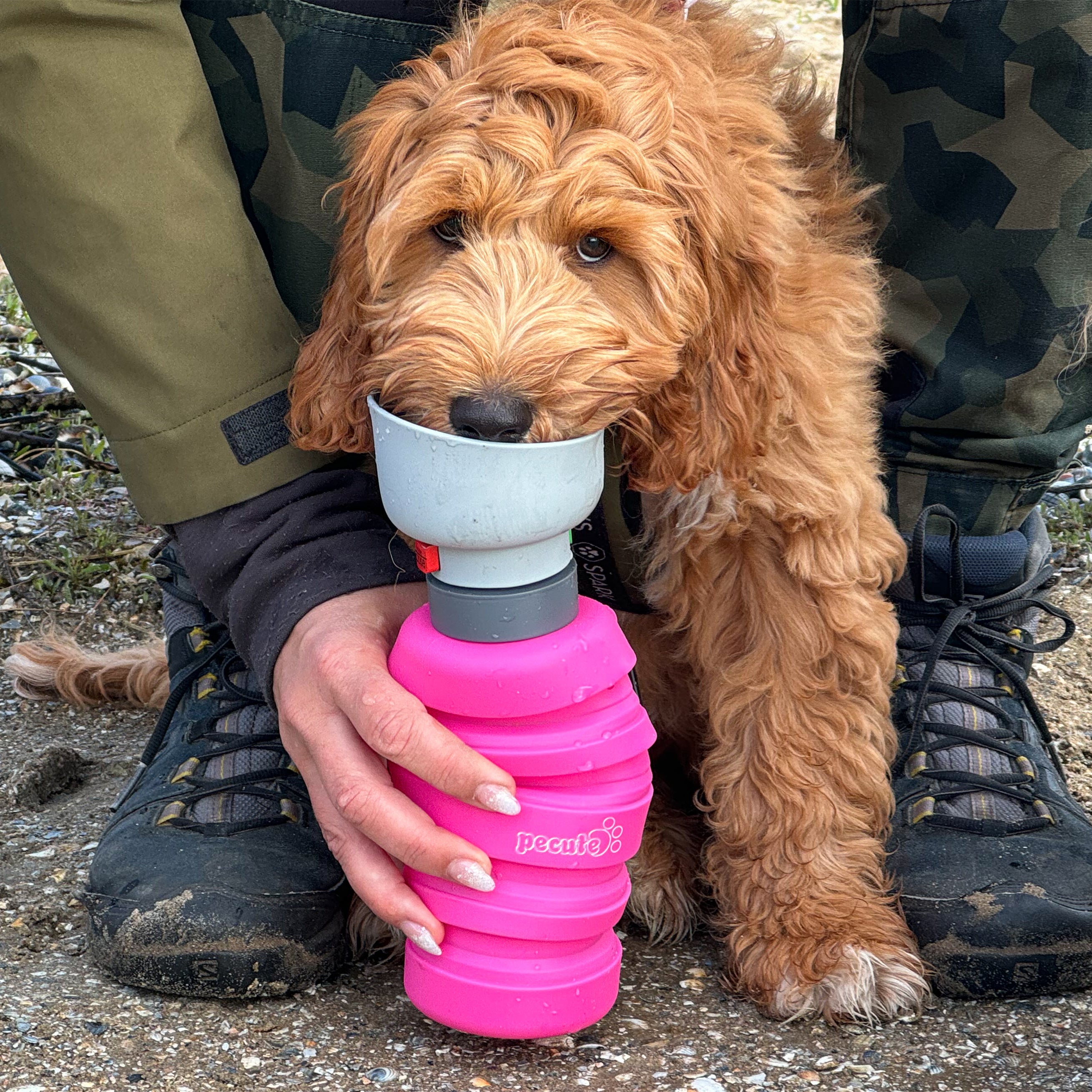 Pecute Foldable Dog Water Bottle 850ml (Pink)