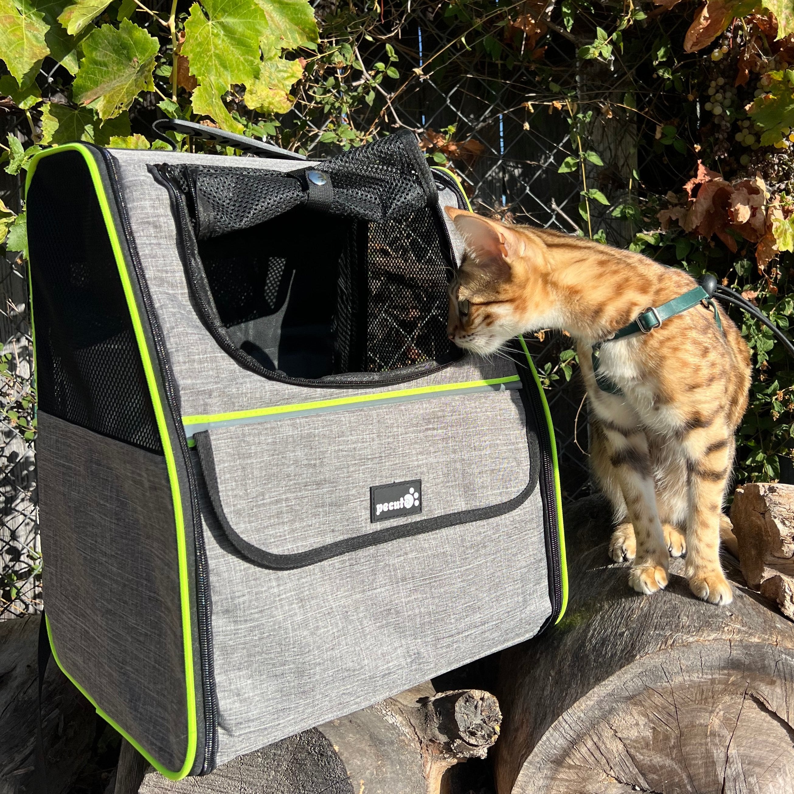 Pecute Trapezoidal Cat Carrier Pet Backpack