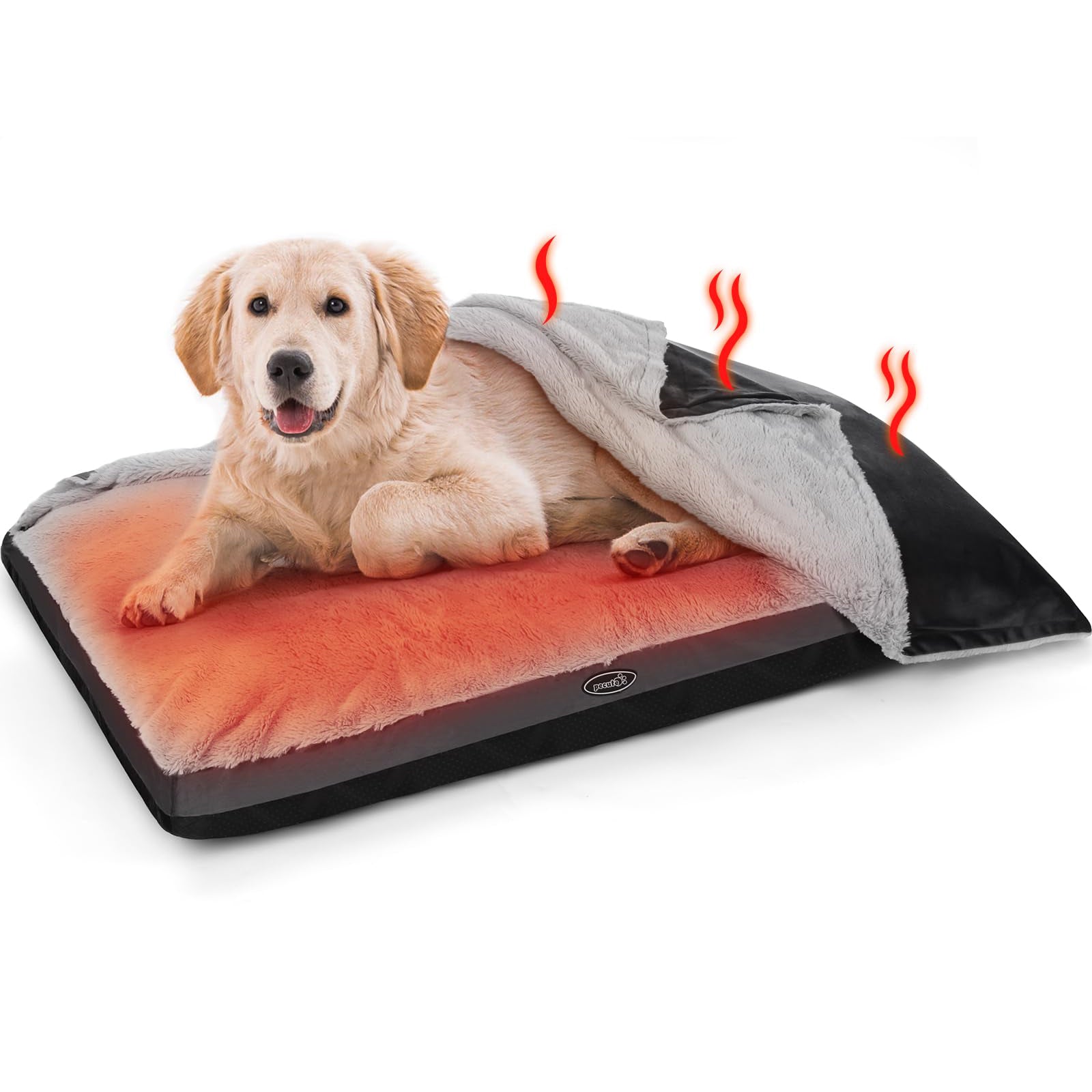 Pecute Dog Bed with Blanket (XL)