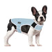 Pecute New Dog Cooling Vest (XL:51cm).