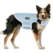 Pecute New Dog Cooling Vest (S: 30cm).