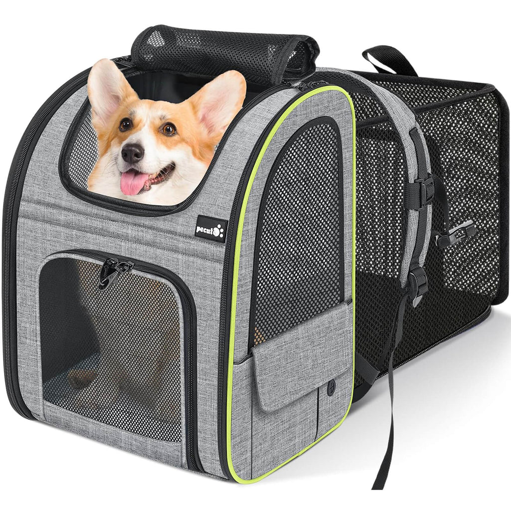 Pet Backpacks & Dog carriers | Pecute