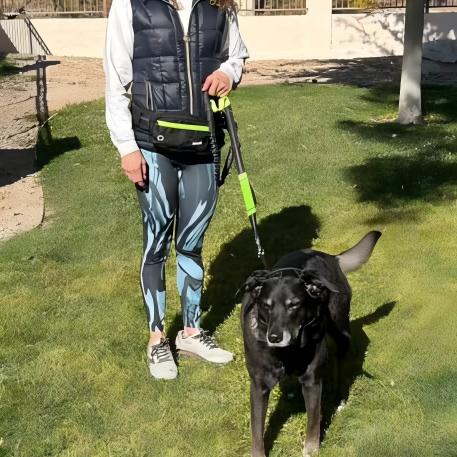 Pecute Dog Leash Hands Free Waist Leash with Pouch Removable for 33-120lbs Dogs