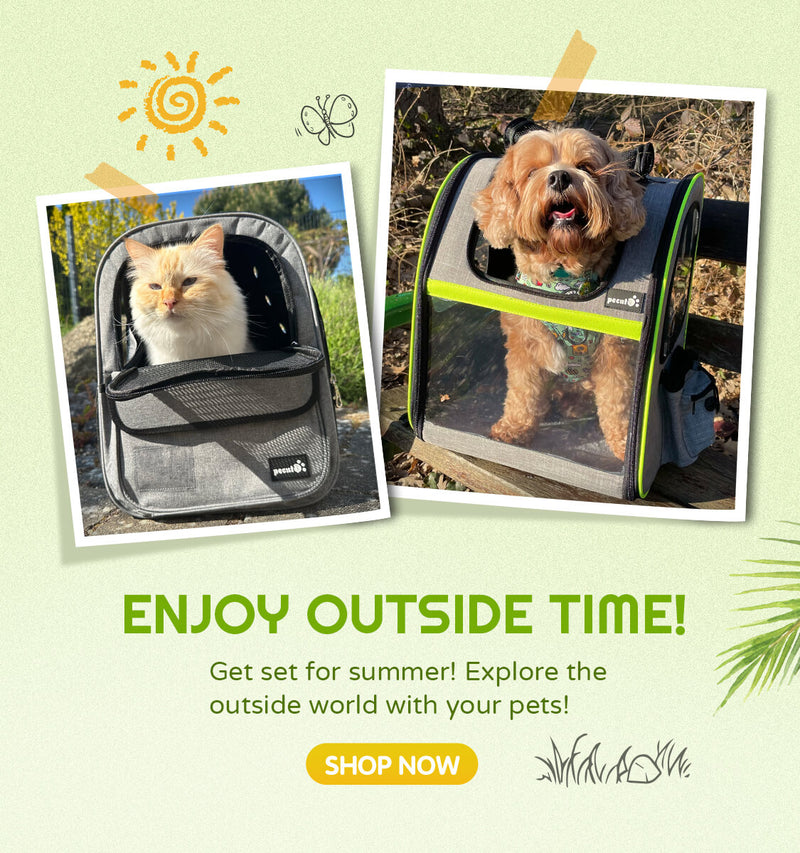 Explore the Pet Carrier Collection