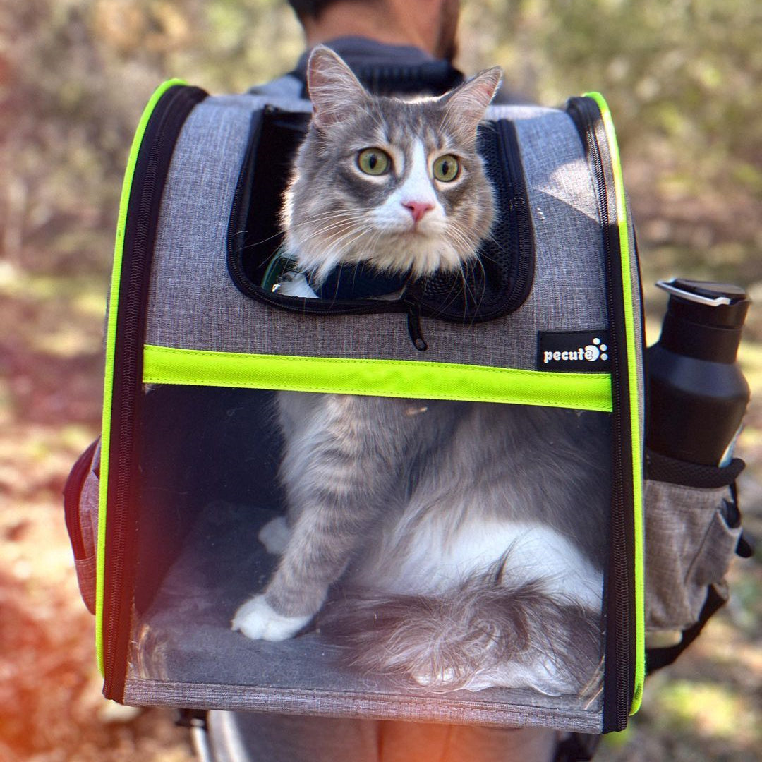 Pecute Portable Breathable Rucksack Expandable Cat Carrier Dog Backpack（Grey）