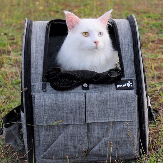 Pecute Pet Trolley Backpack Travel Carrier