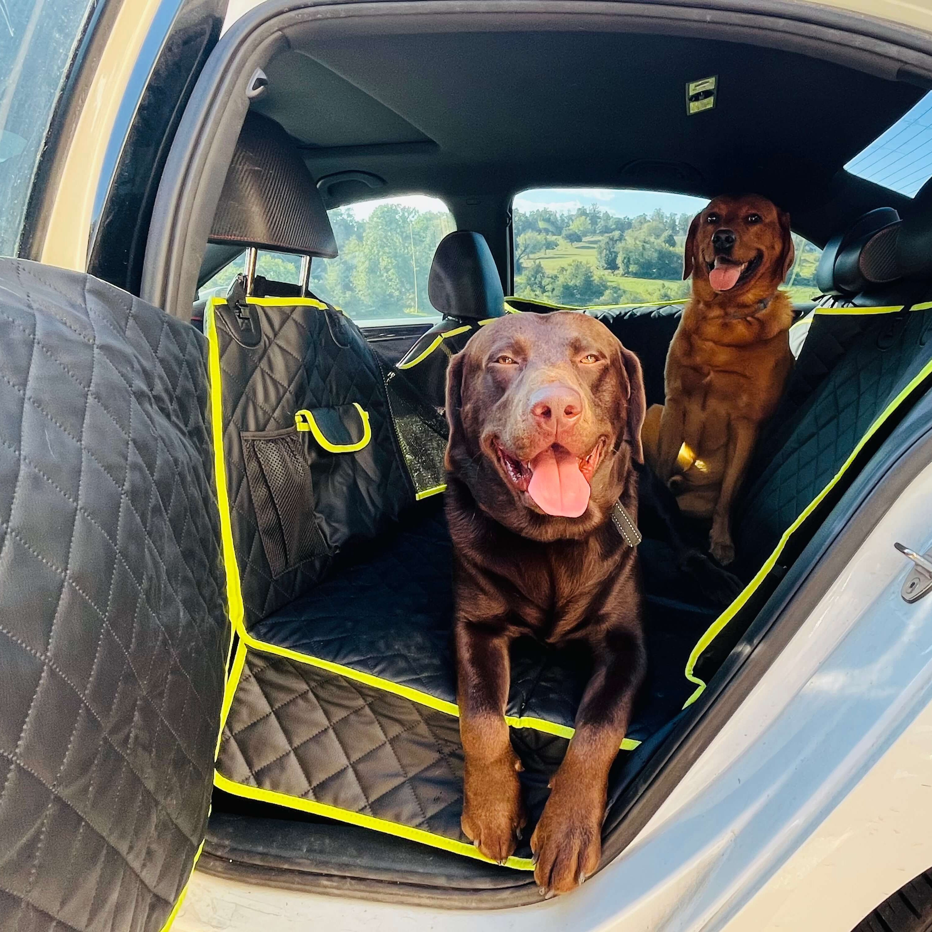 Pecute Full Surrounded Dog Car Seat Cover for Back Seat, Car Window Fixing for Maximum Car Protection