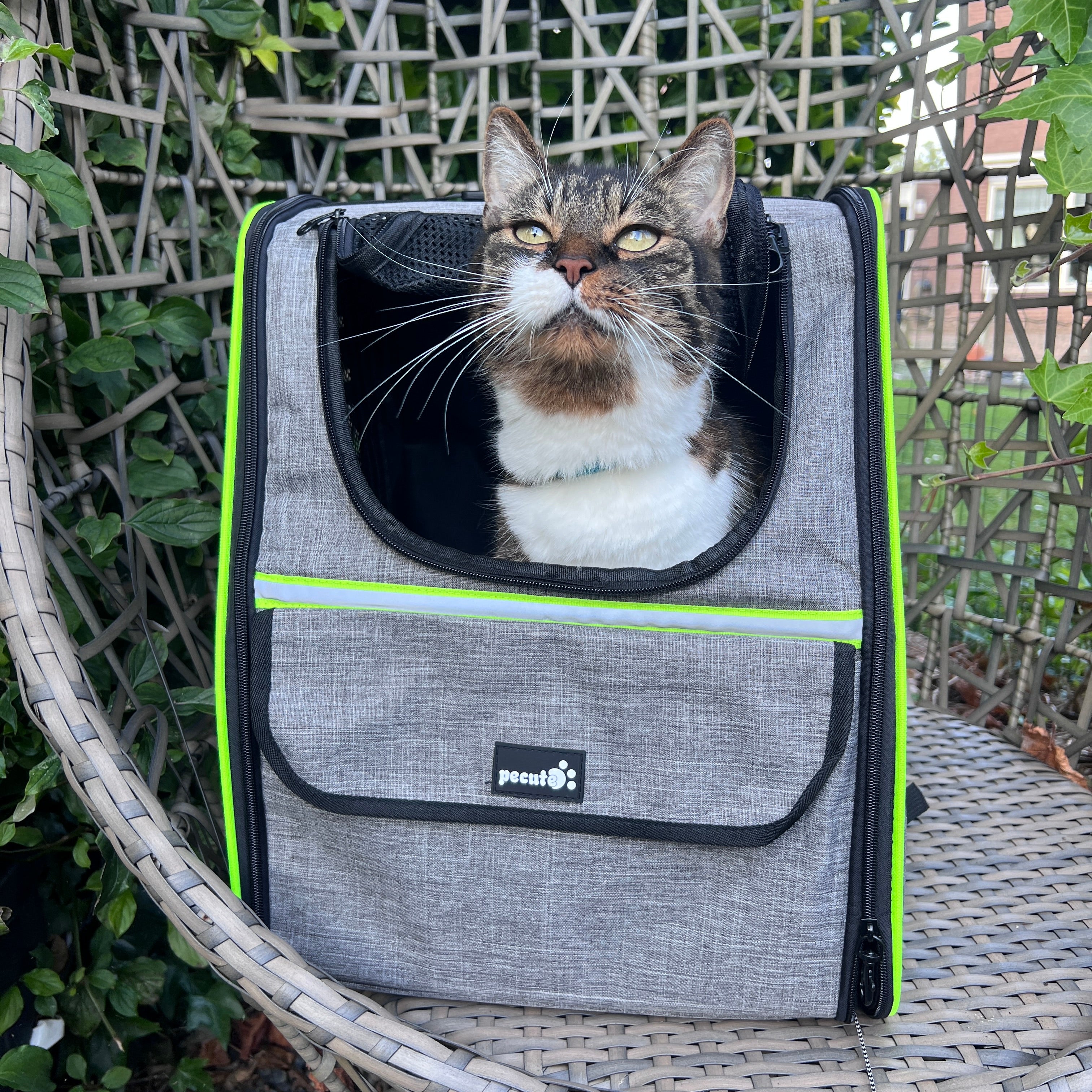 Pecute Trapezoidal Cat Carrier Pet Backpack