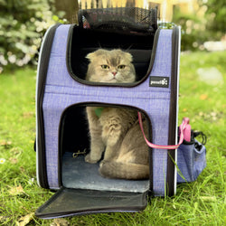 Sac à dos pour chien Pecute Cat Carrier, sac à dos respirant portable