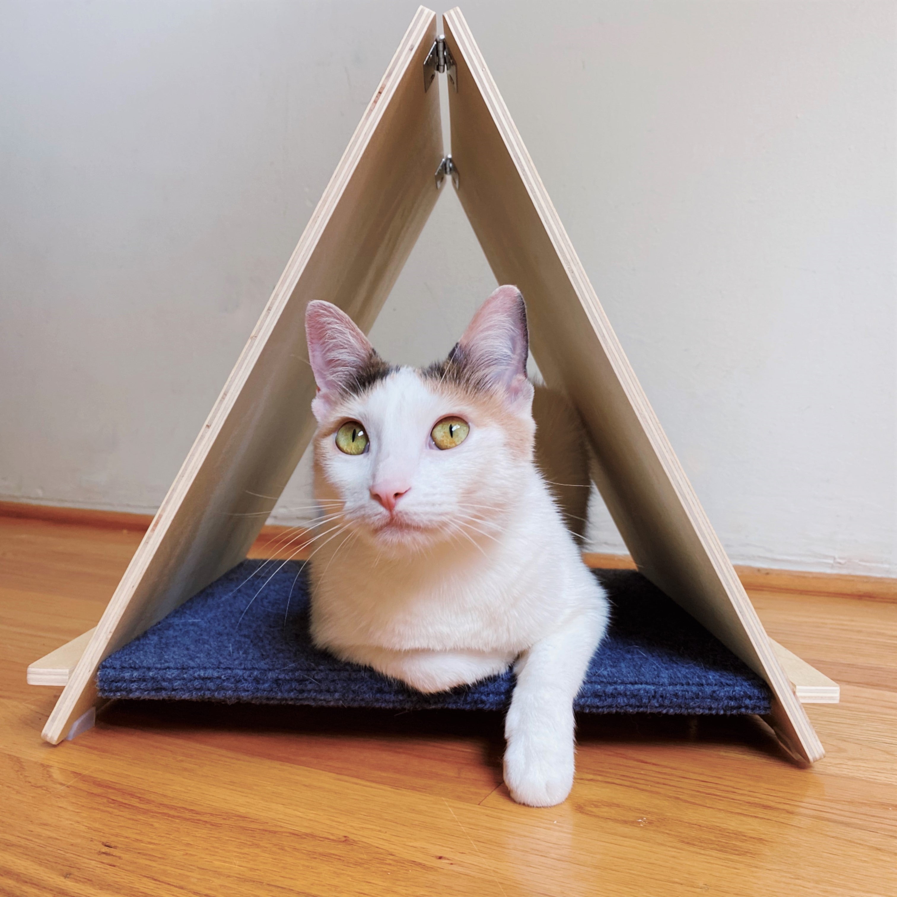 Pecute Grattoir triangulaire pour chat, tapis à gratter pliable en sisal tissé double face