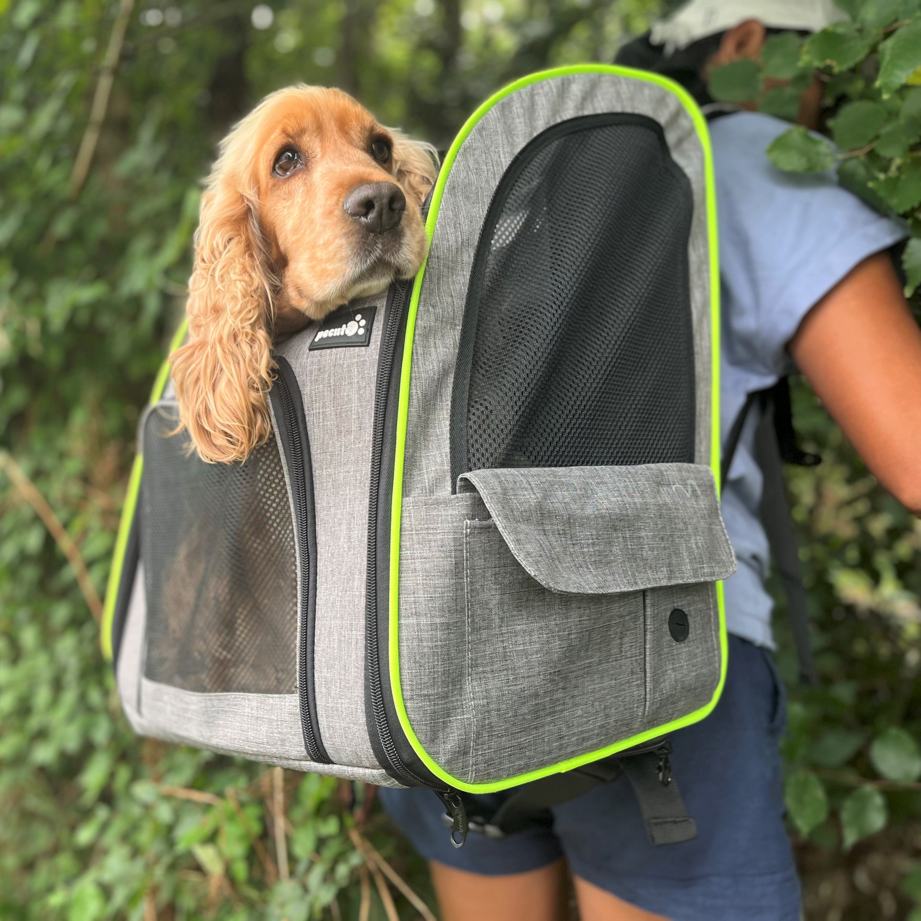 Pecute Pet Carrier Backpack Expandable Portable with Curtain