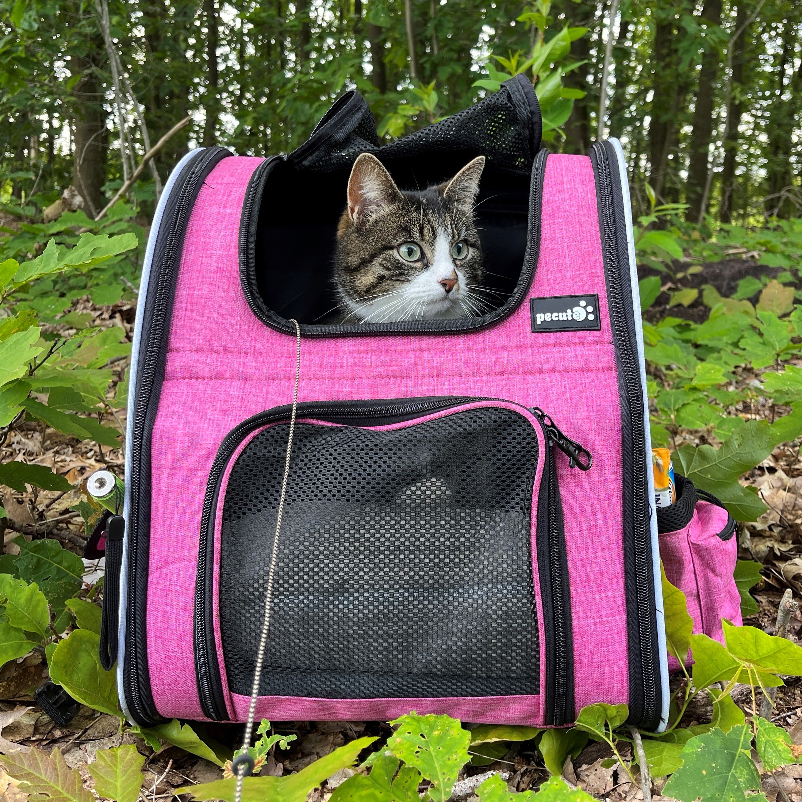 Pecute Sac à dos pour chien et chat, sac à dos portable et respirant (rose)