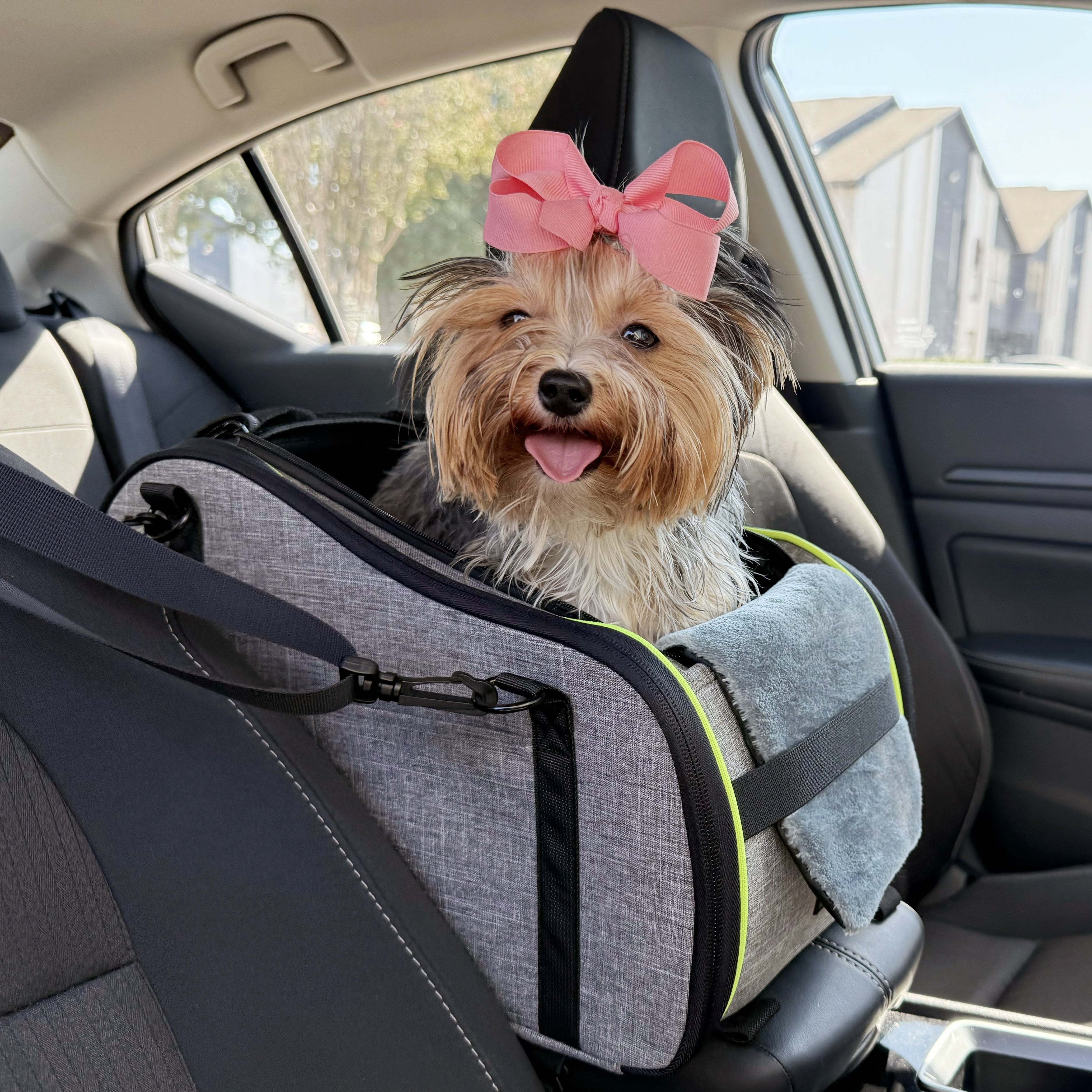 Pecute Car Center Armrest Pet Carrier Bag Gray