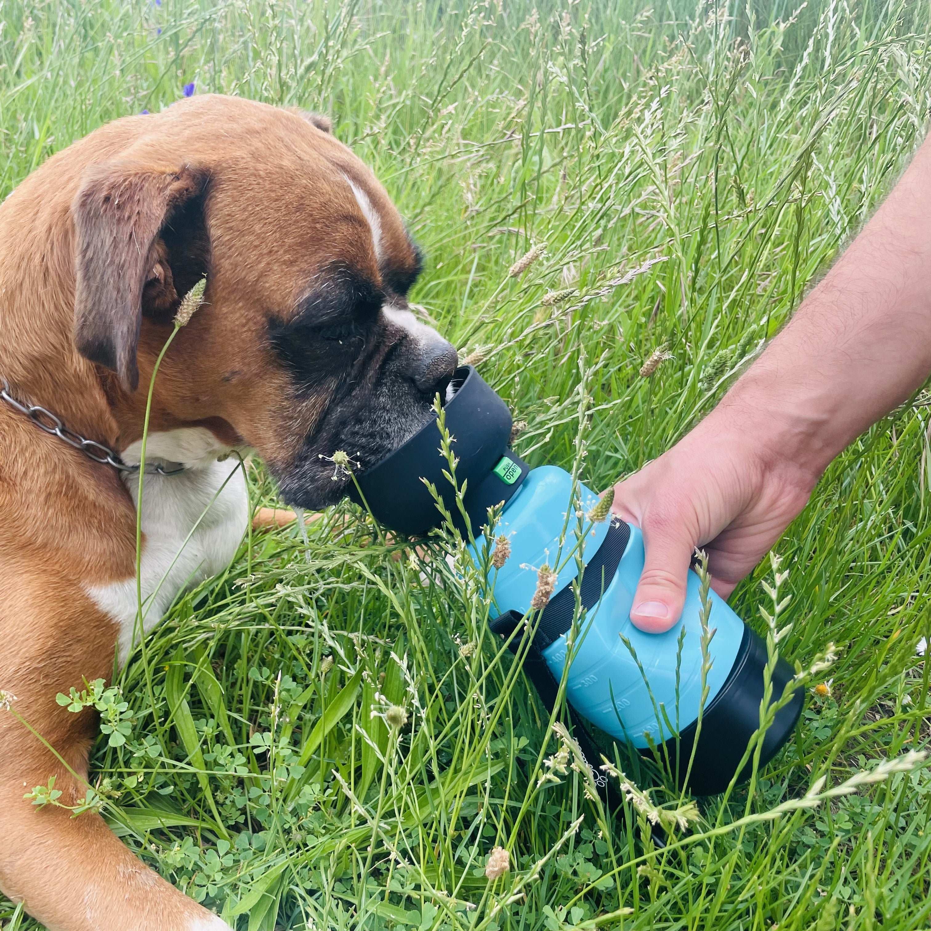 Pecute Blue Portable Dog Water Bottle with Food Container (650ml+150ml)