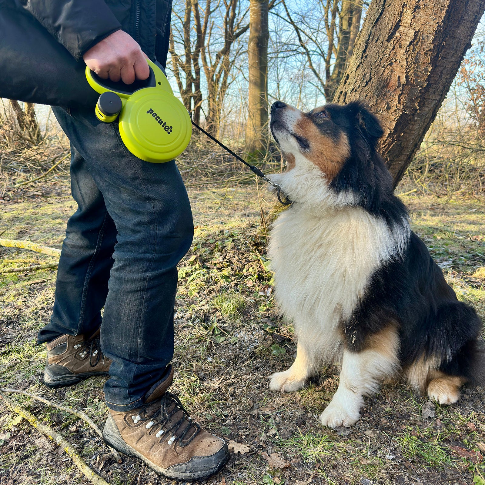 Pecute Retractable Dog Leash with Dog Waste Bag Holder