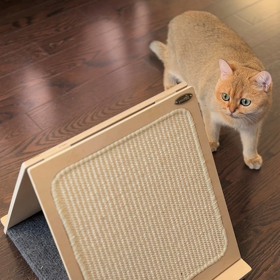 Pecute Grattoir triangulaire pour chat, tapis à gratter pliable en sisal tissé double face